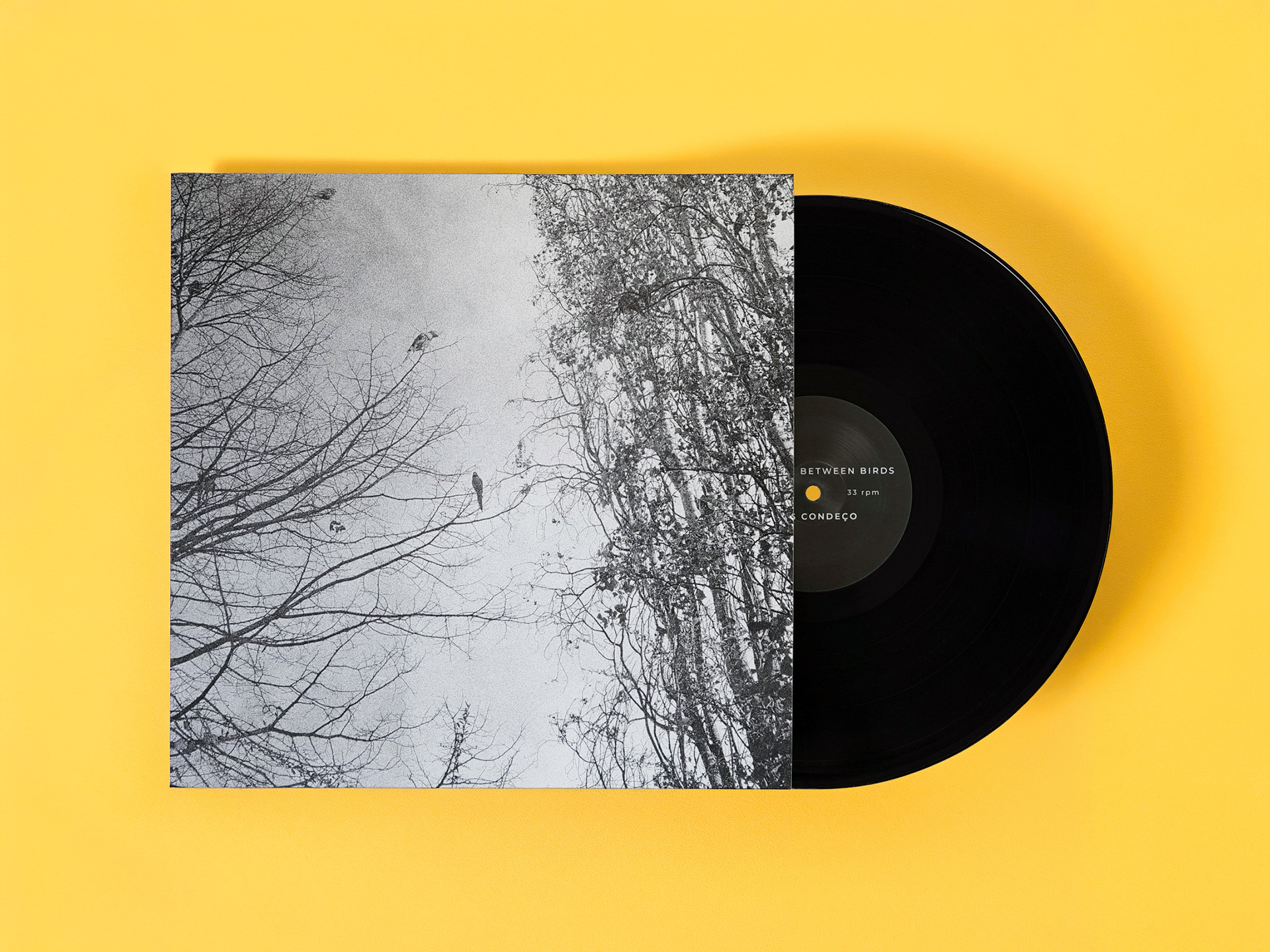 The Space Between Birds - Inês Condeço album