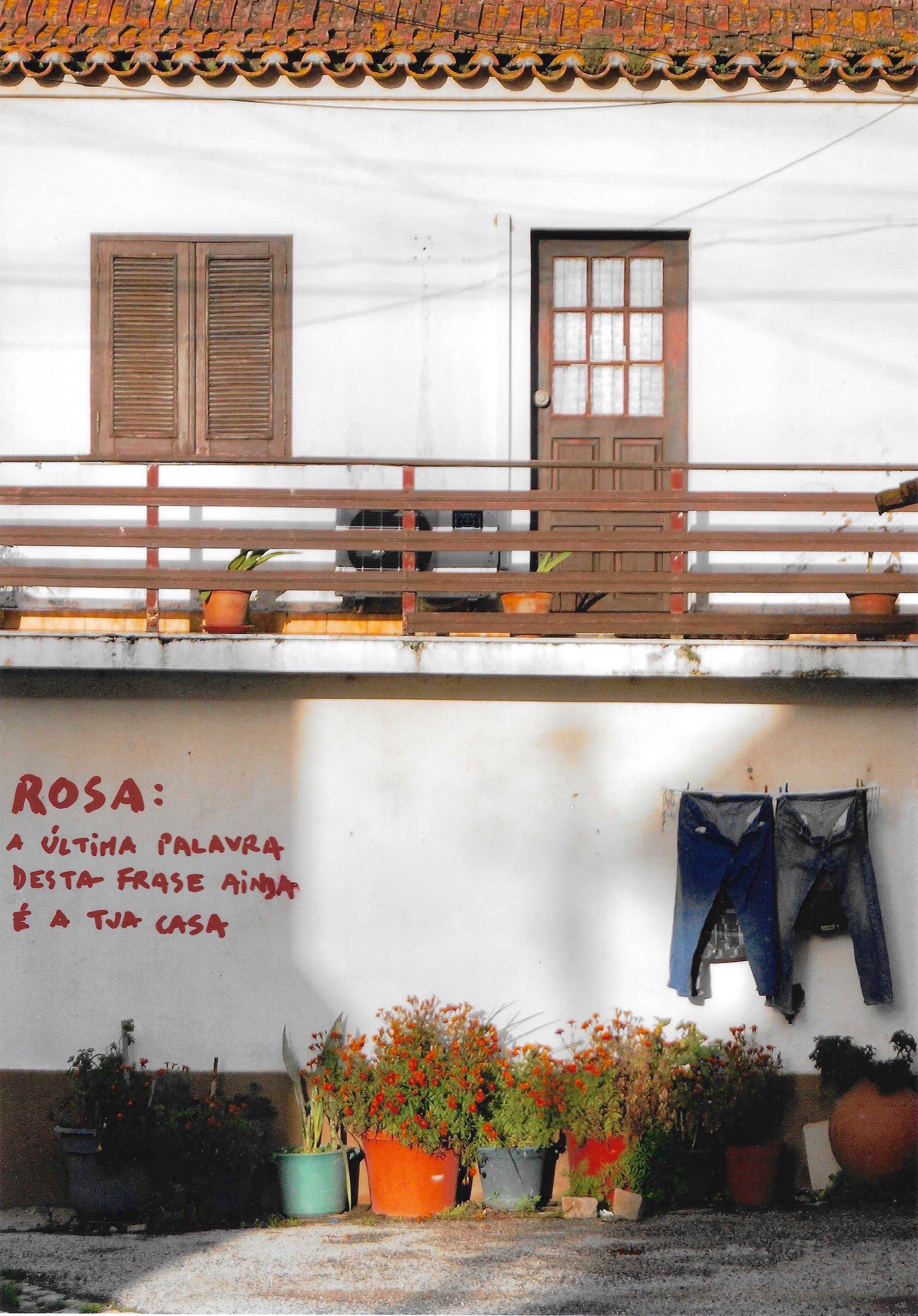 Rosa (2023); 28,3 x 19,8 cm (11,1" x 7,8")