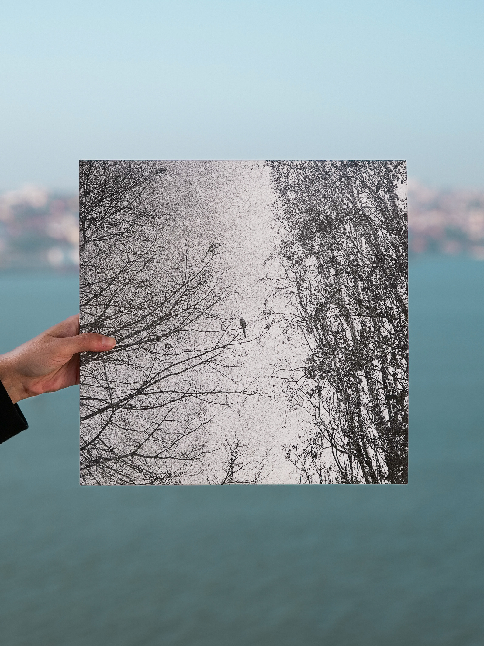 The Space Between Birds - Inês Condeço album