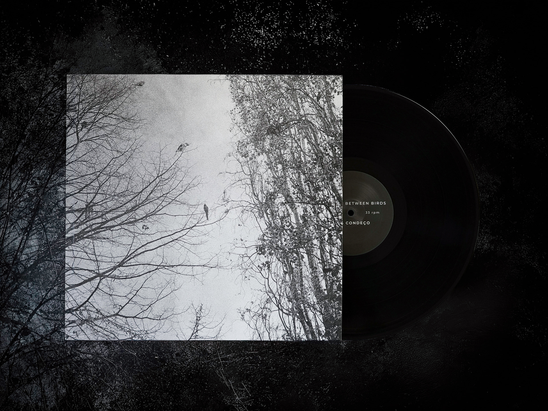 The Space Between Birds - Inês Condeço album