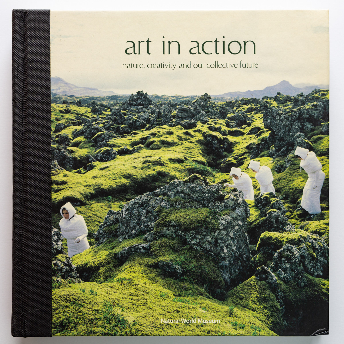 Art in Action book