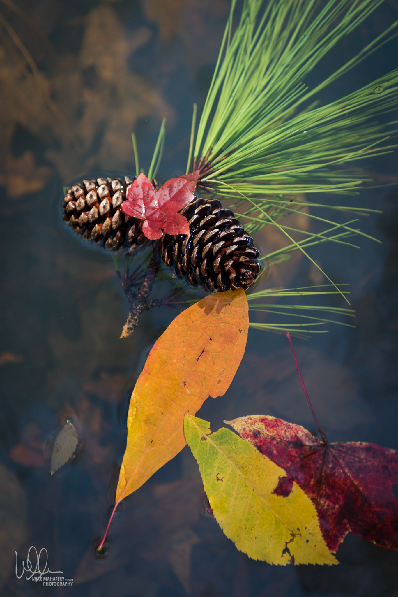 Floating Color