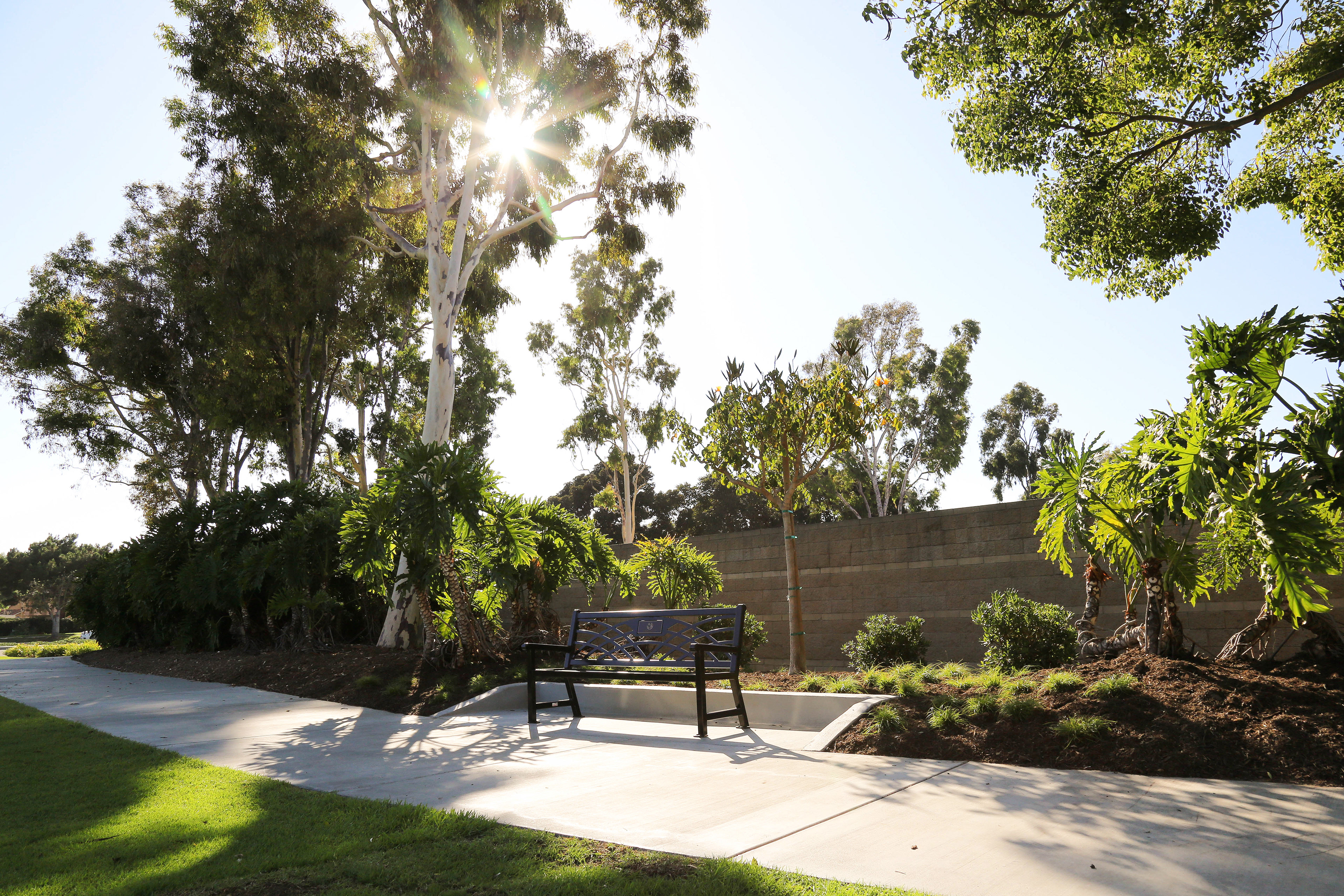 Irvine City Hall Bench Dedication