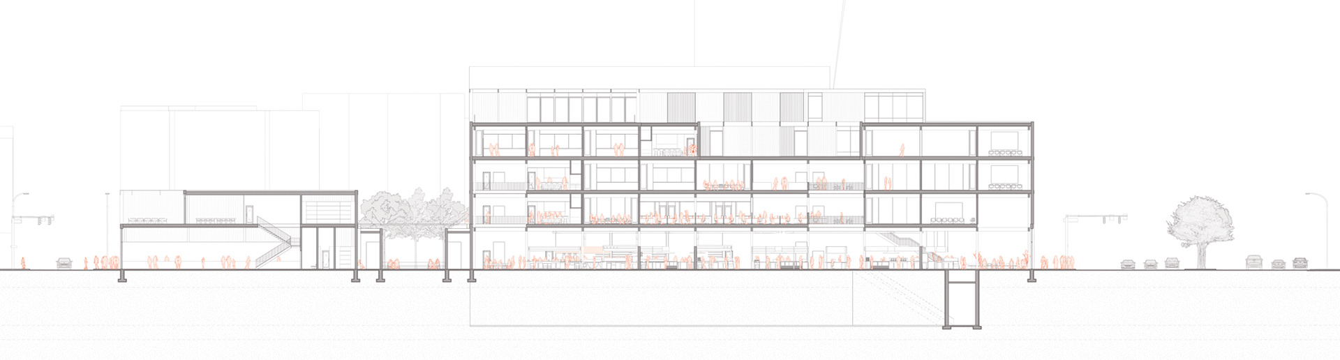 Section Food Market and Center N/S