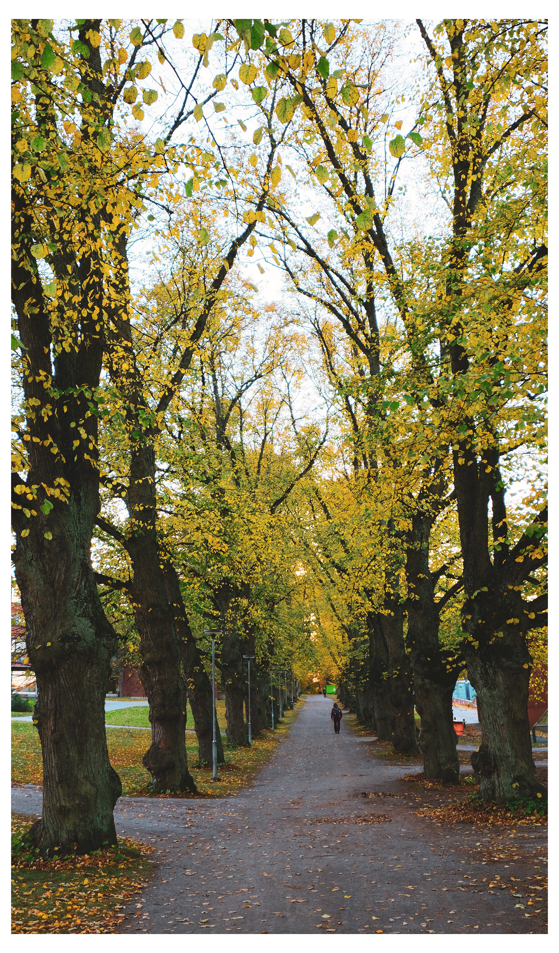 Aalto University | fall 2022