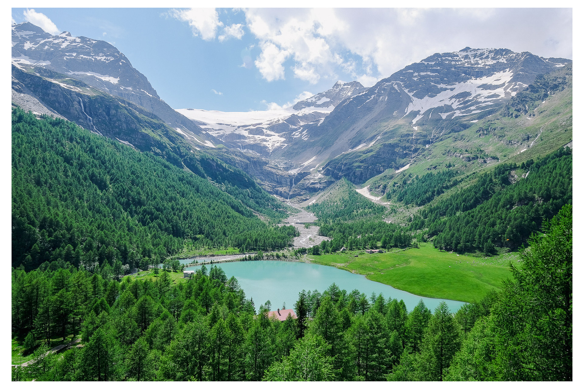 Swiss Alps - 2024
