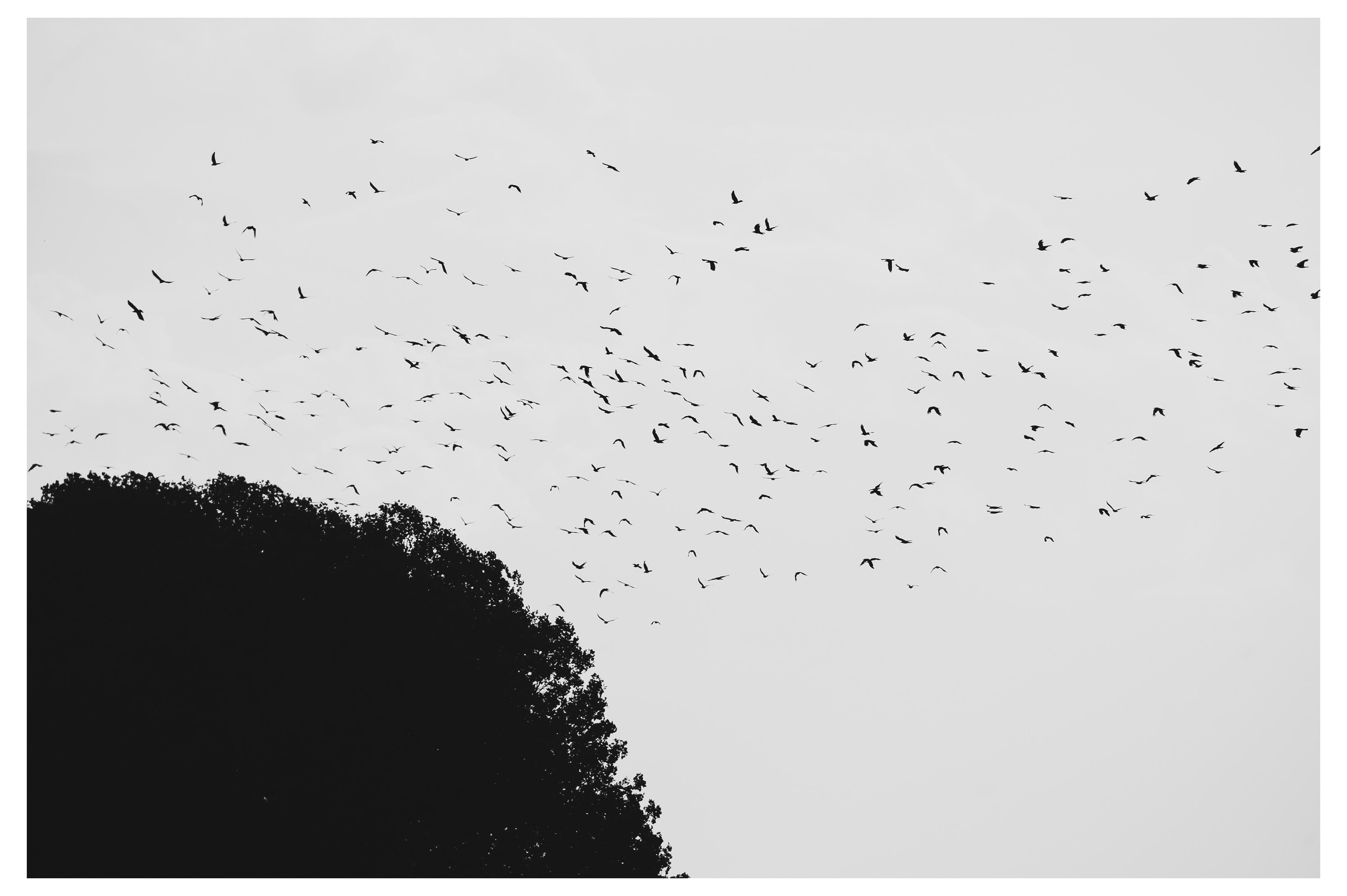 Erzurum, Turkey - 2014