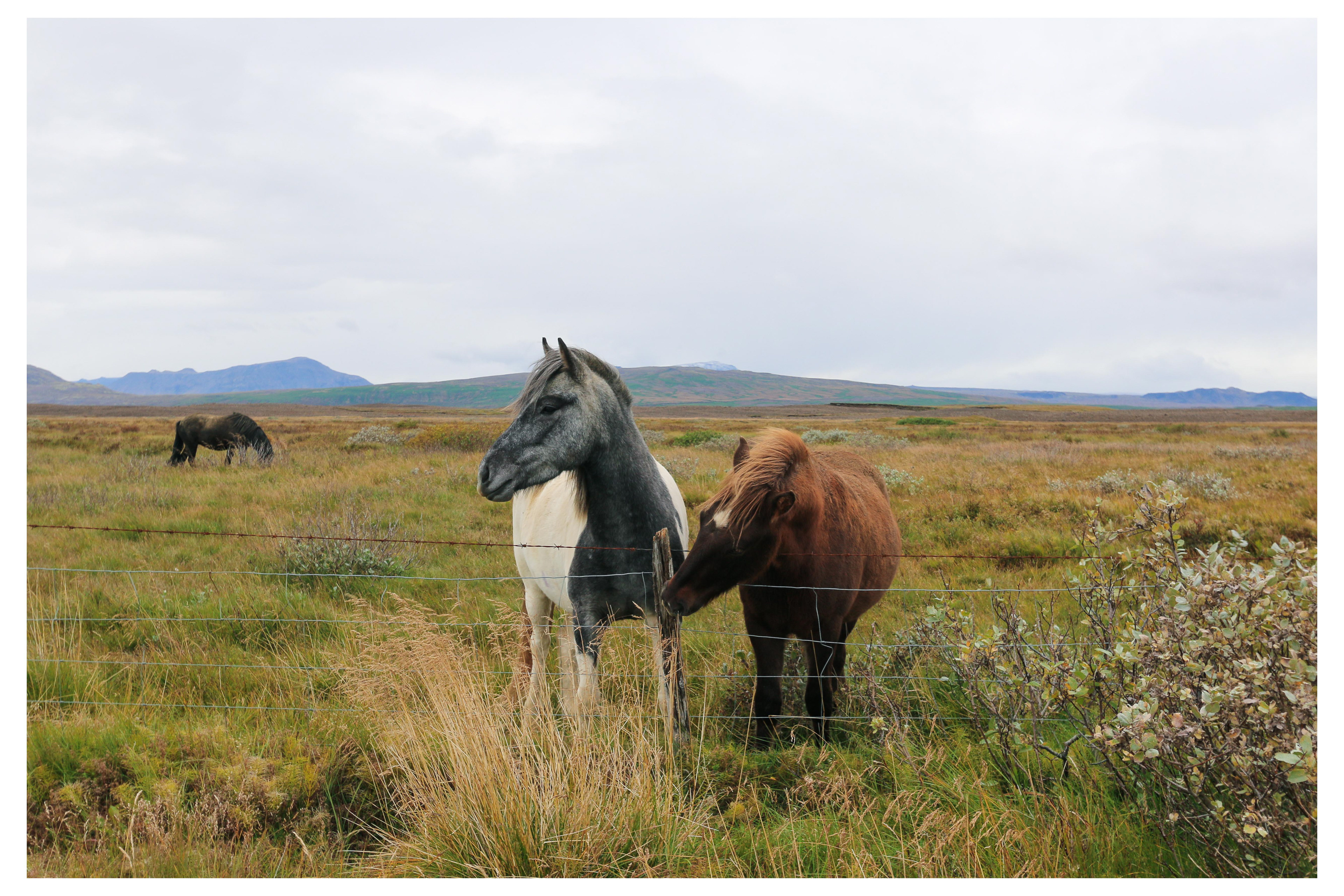 Iceland - 2015