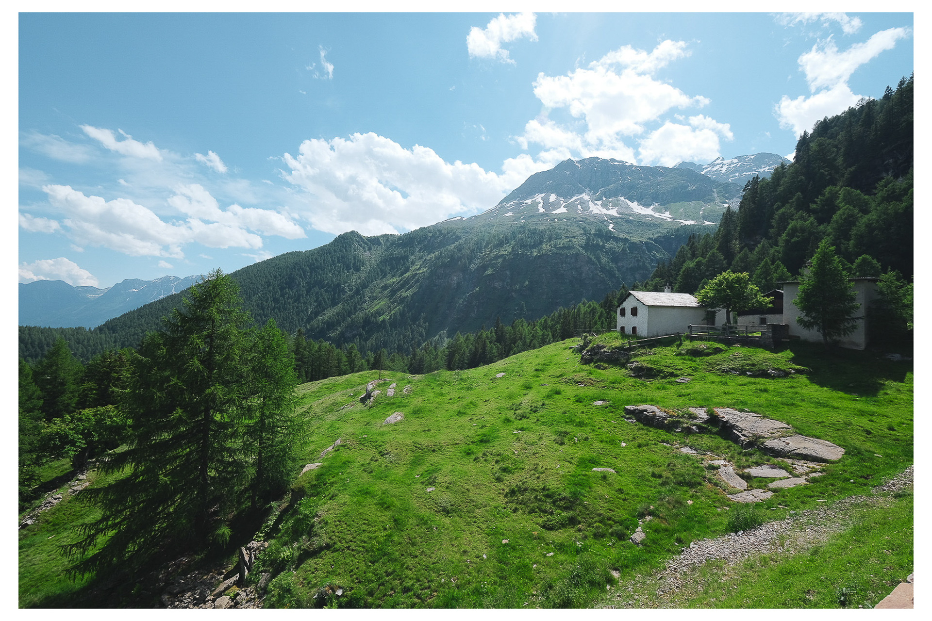 Swiss Alps - 2024
