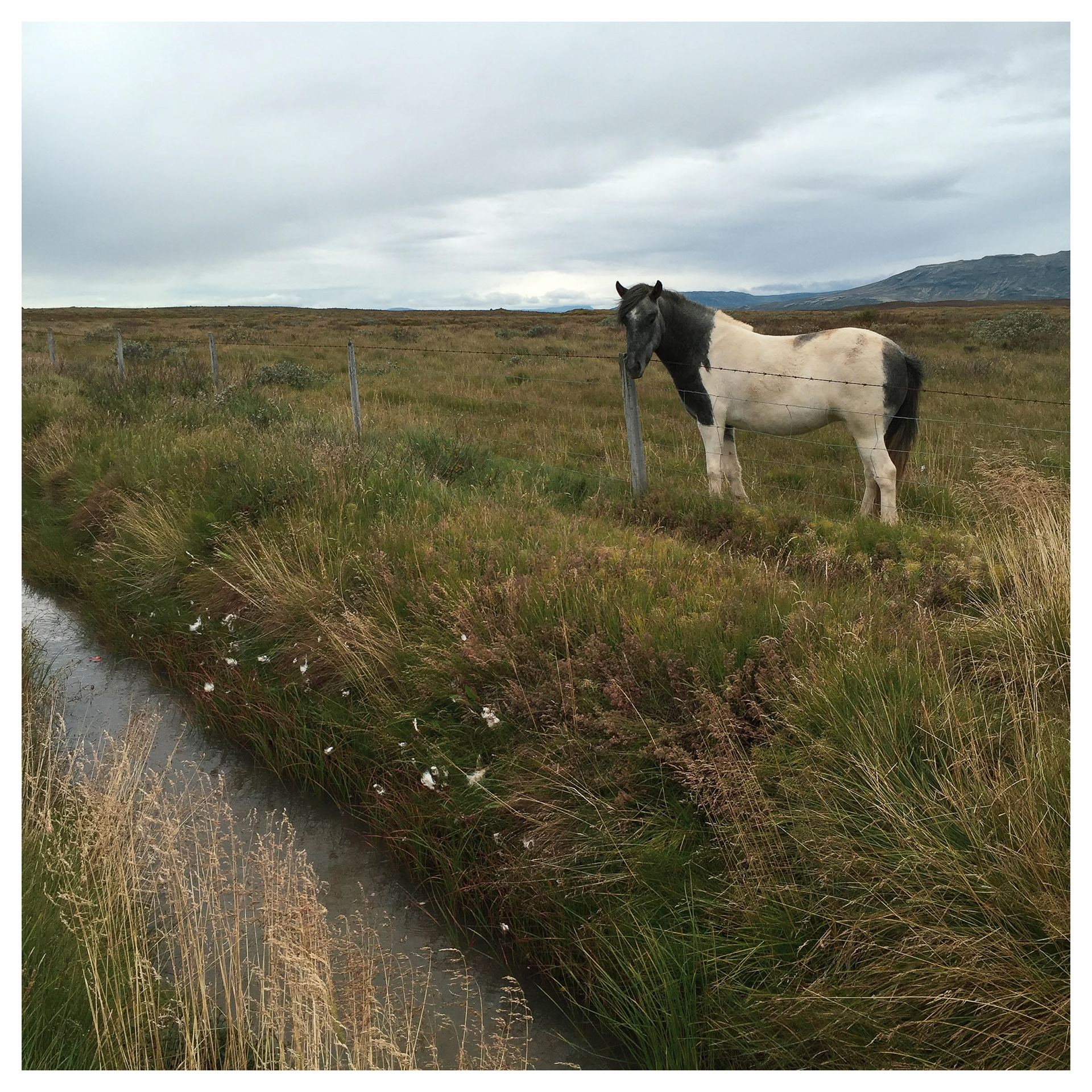 Iceland - 2015