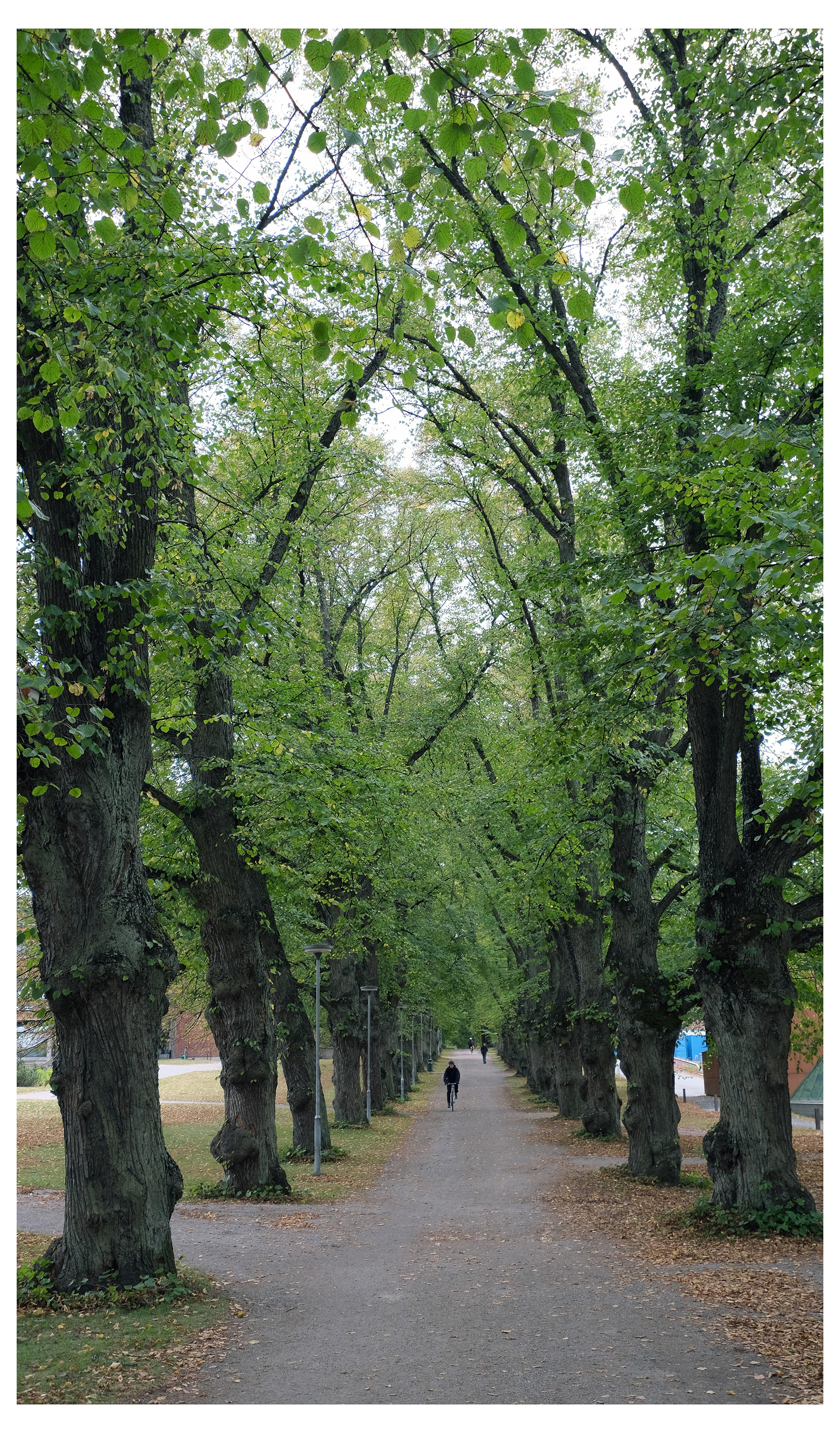 Aalto University | summer 2022