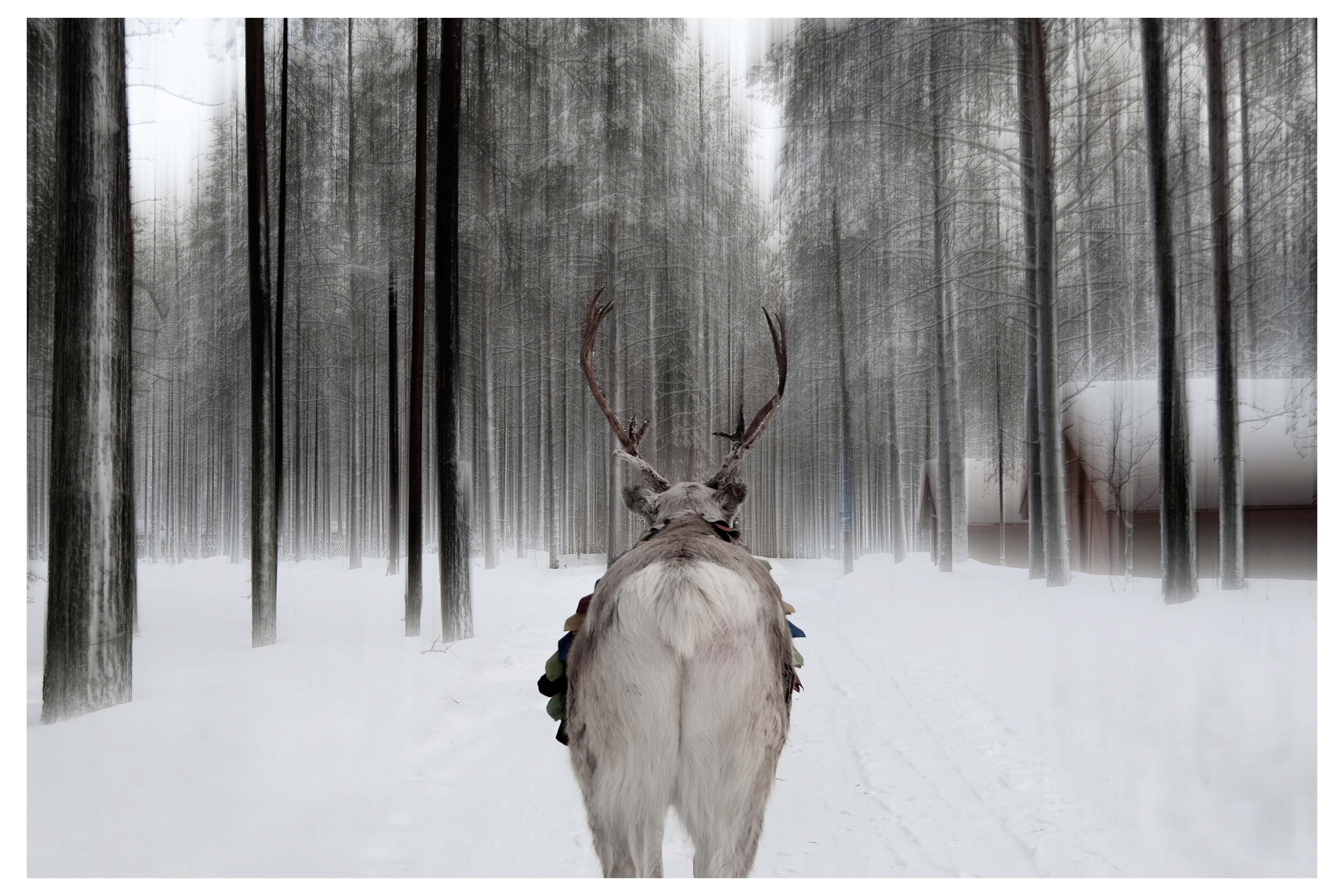 Rovaniemi, Finland - 2023