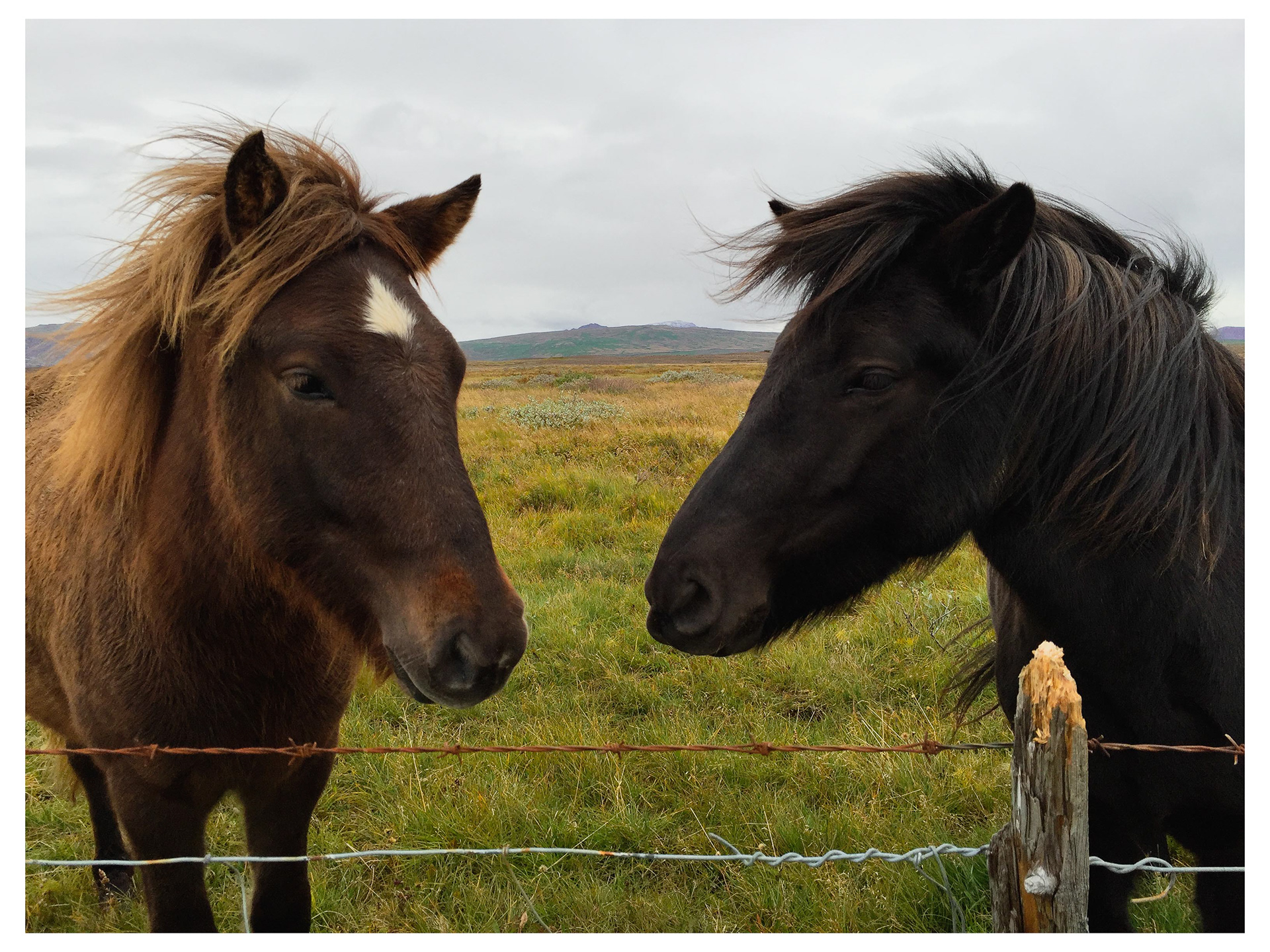 Iceland - 2015