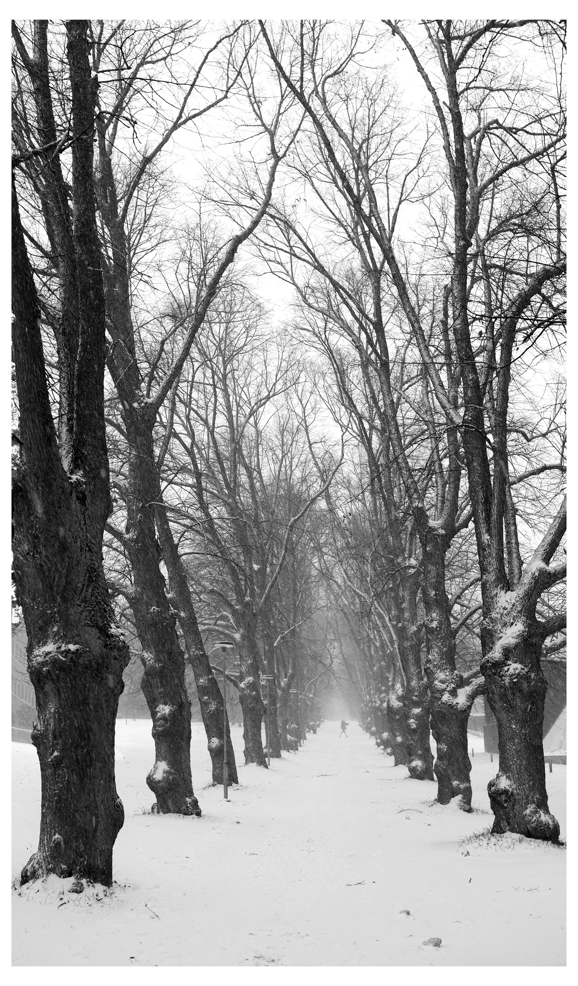 Aalto University | winter 2023