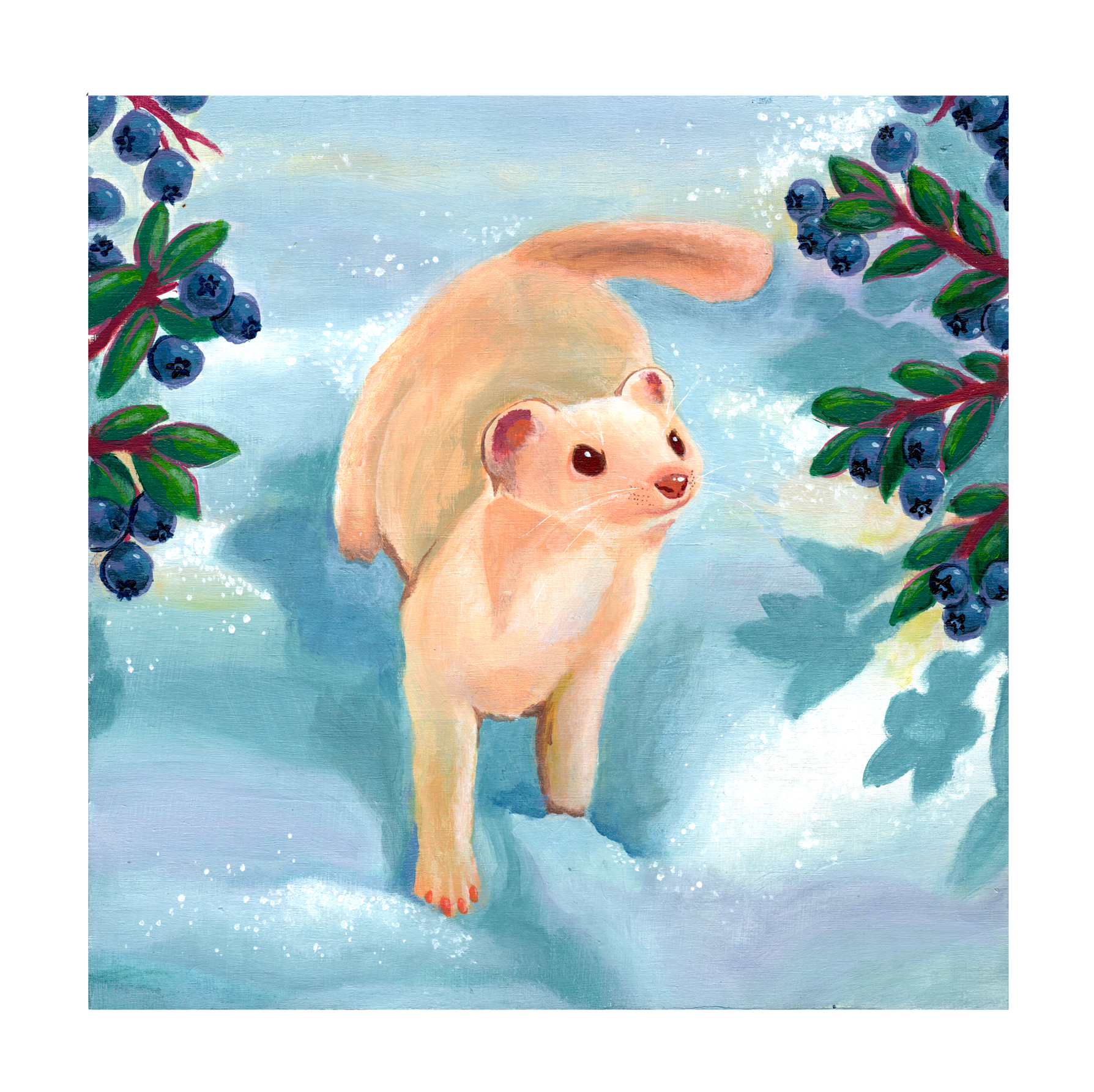 "Blueberry ferret" 2022