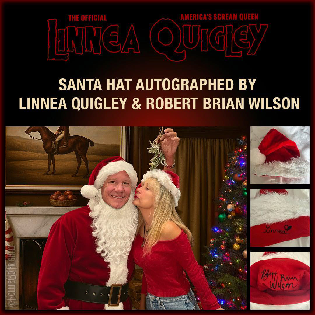 Auction graphic for Santa hat signed by Robert Brian Wilson and Linnea