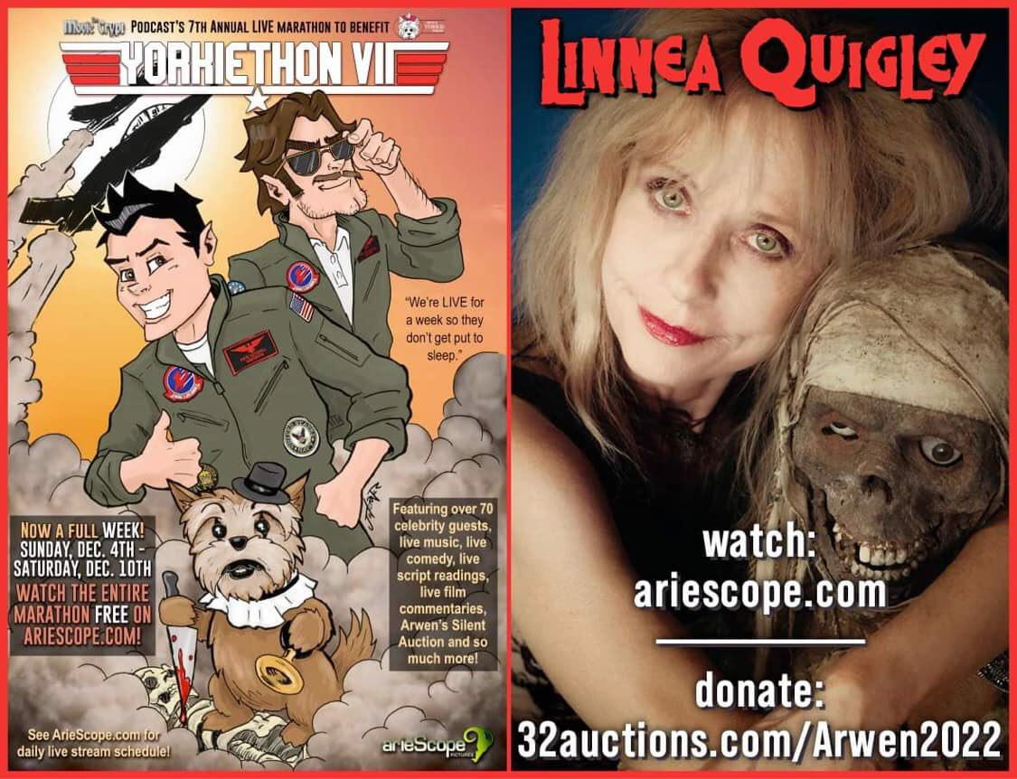 Graphic for Linne's appearance on Yorkiethon 2022