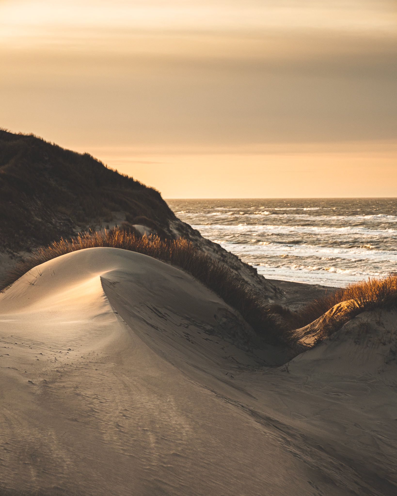 In den Dünen von Skagen