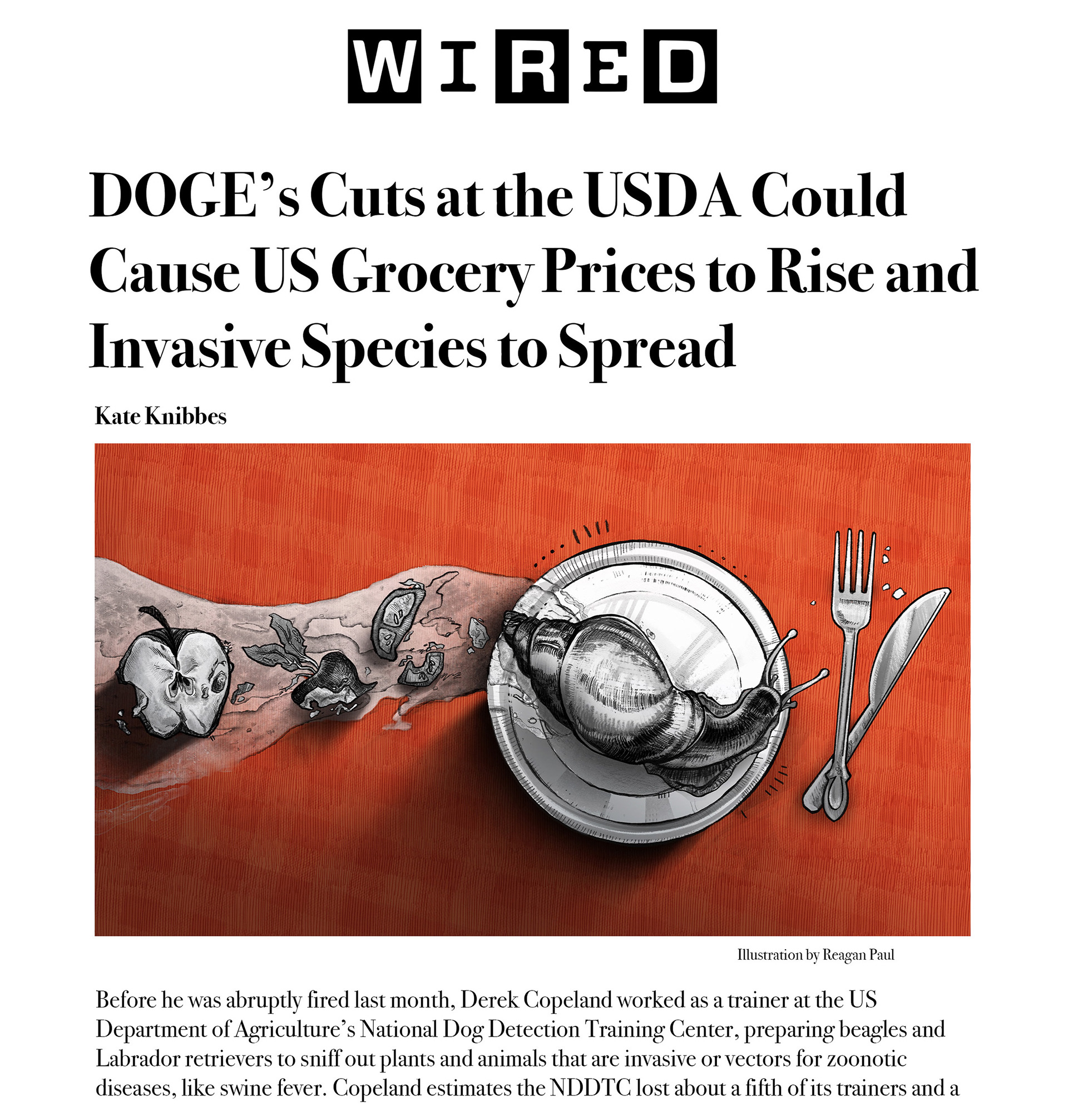 *Mock Wired ; 2025