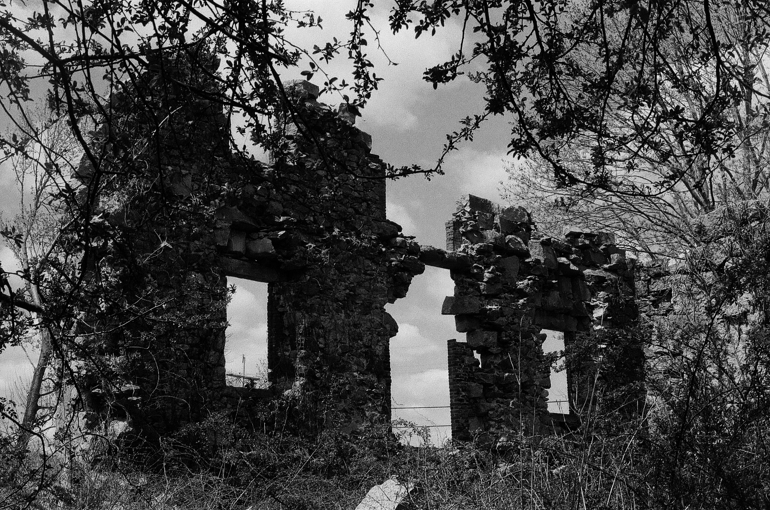 Ruined Series: 35 mm B&W film 2022
