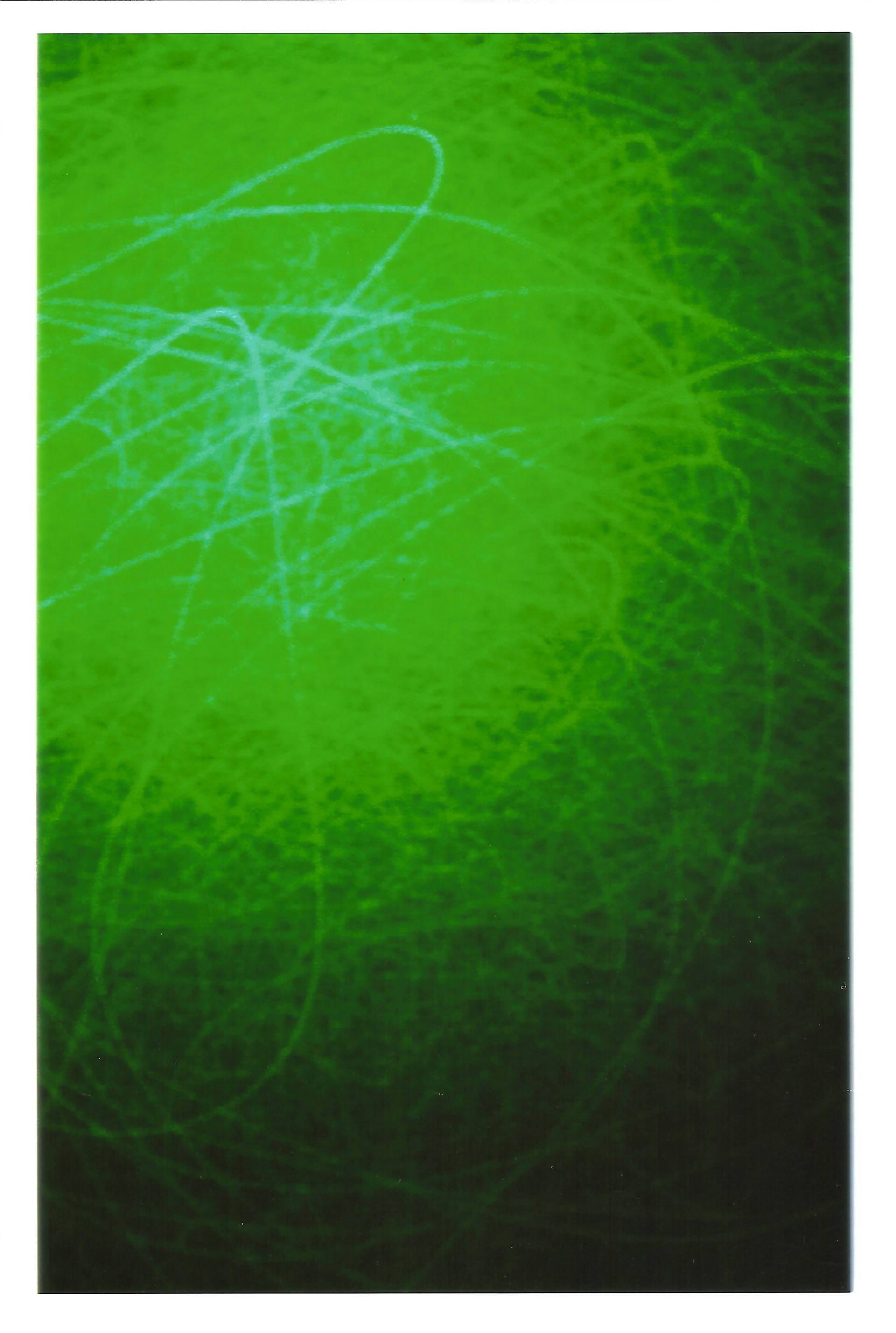 Light Painting Digital Series 2018