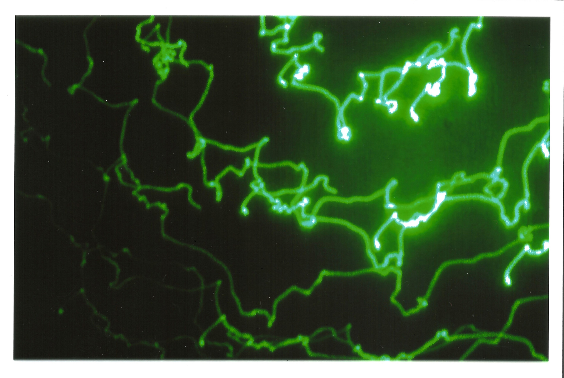 Light Painting Digital Series 2018