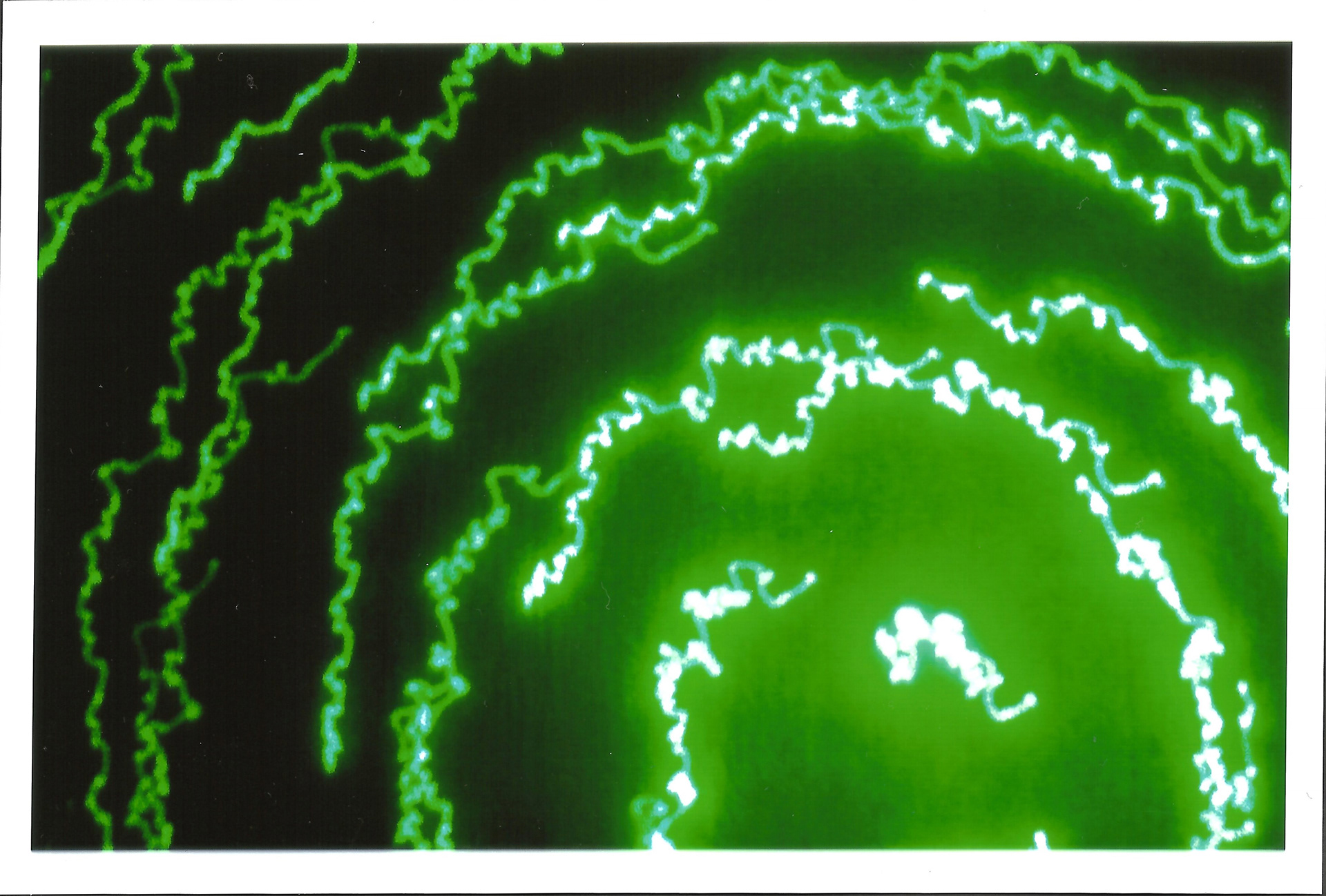 Light Painting Digital Series 2018