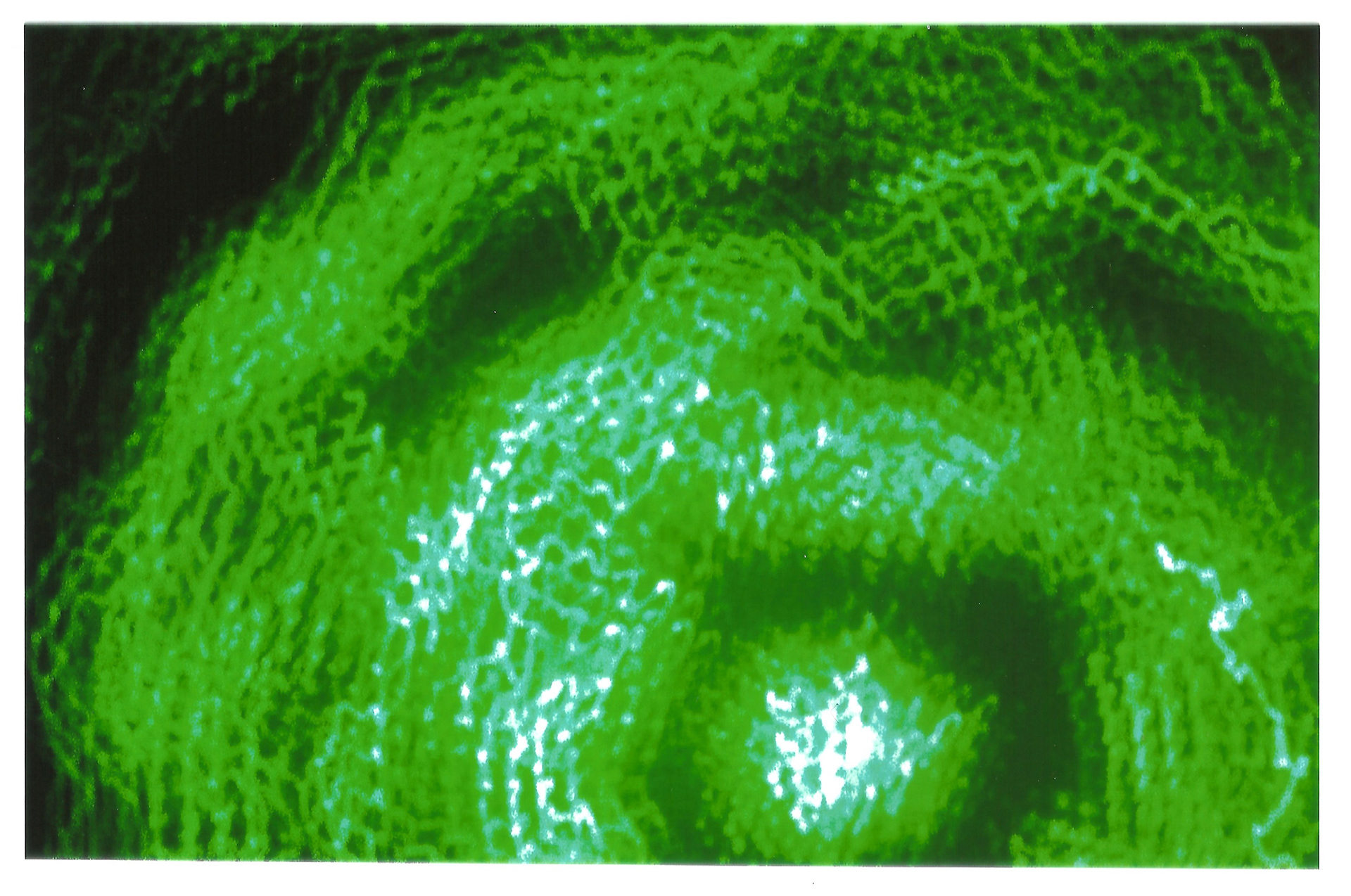 Light Painting Digital Series 2018