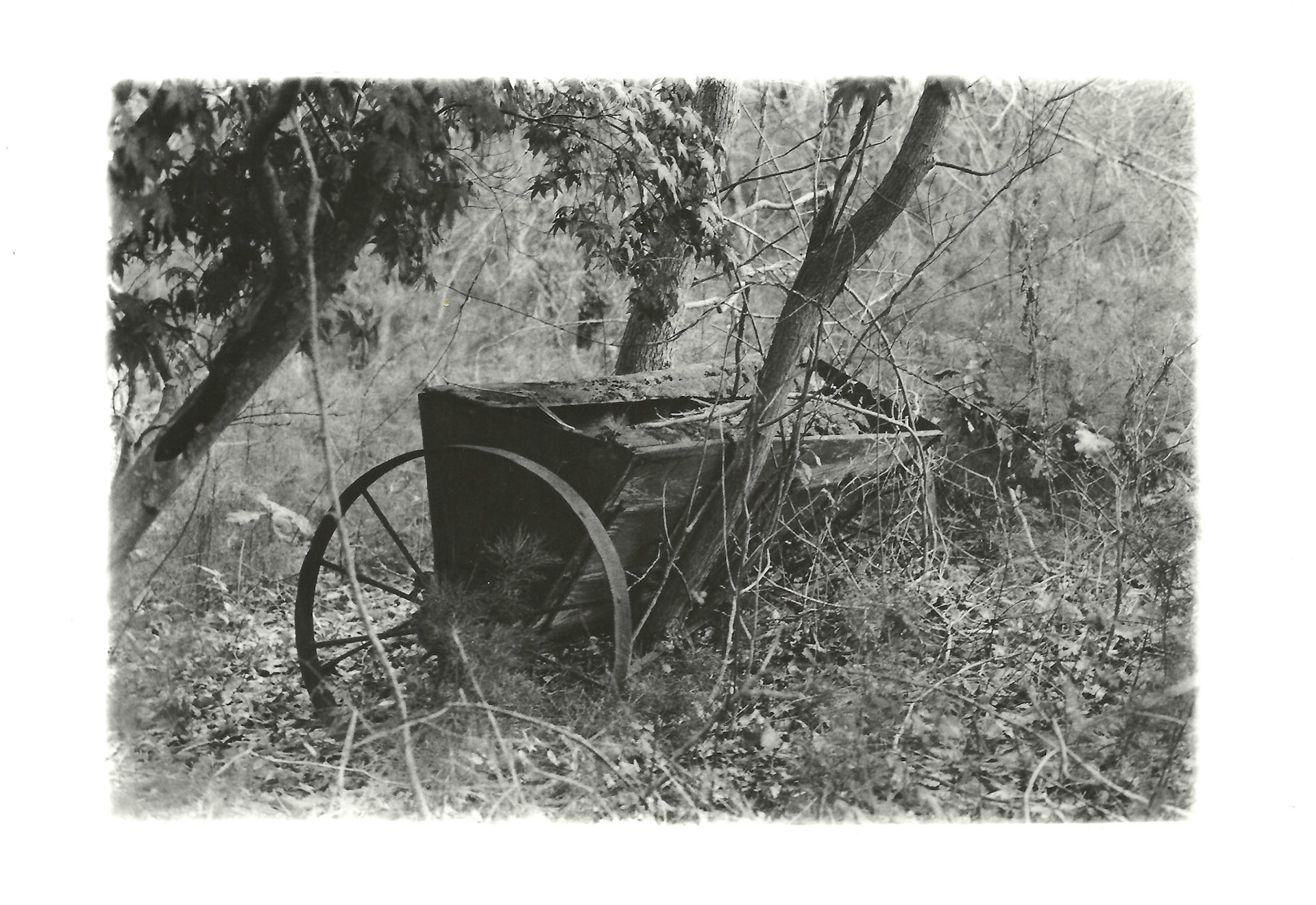 Remnants Series: 35 mm B&W film 2018