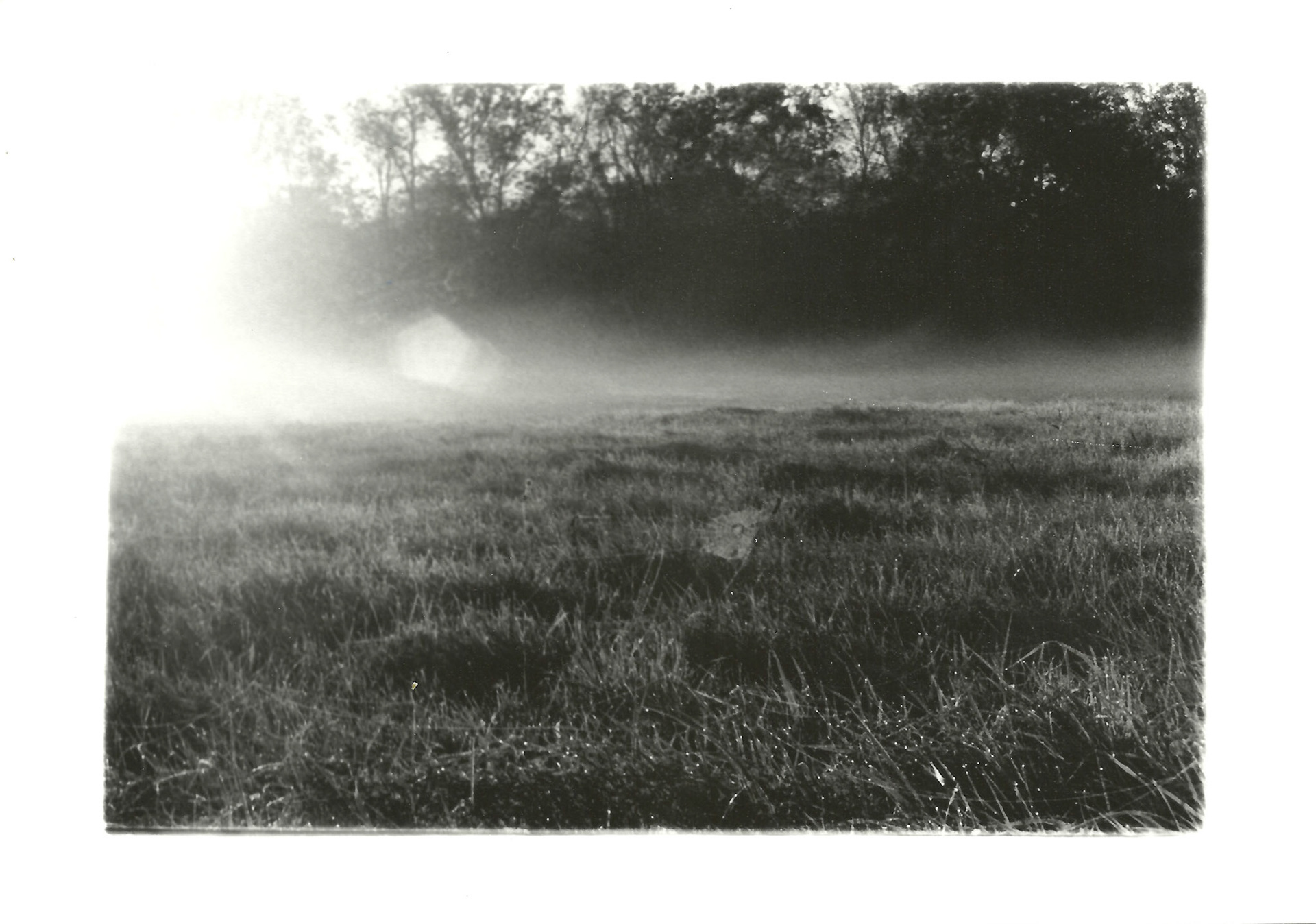 Remnants Series: 35 mm B&W film 2018