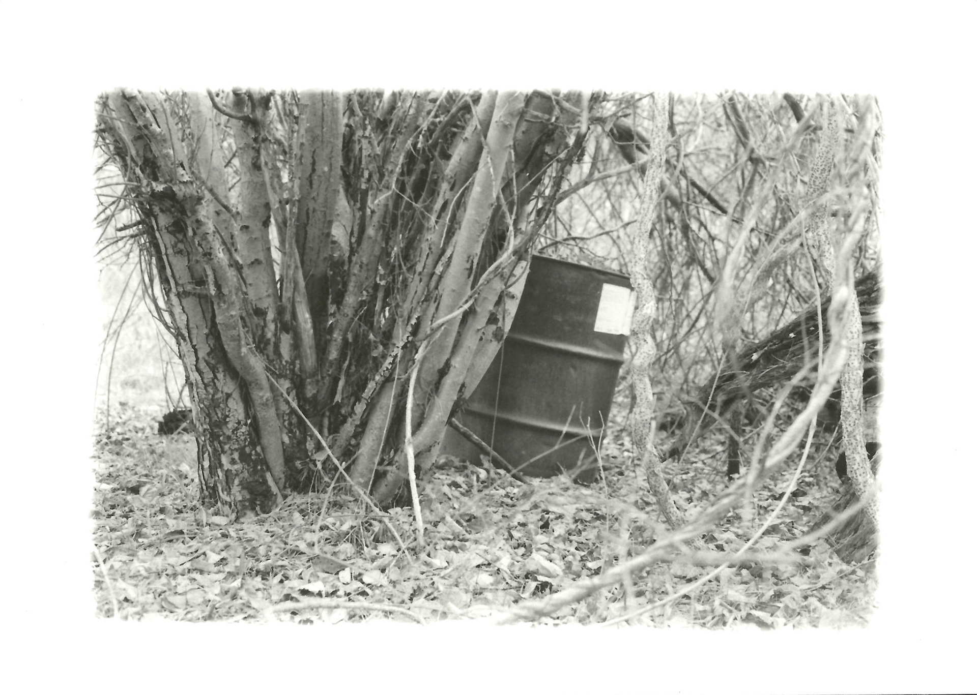 Remnants Series: 35 mm B&W film 2018