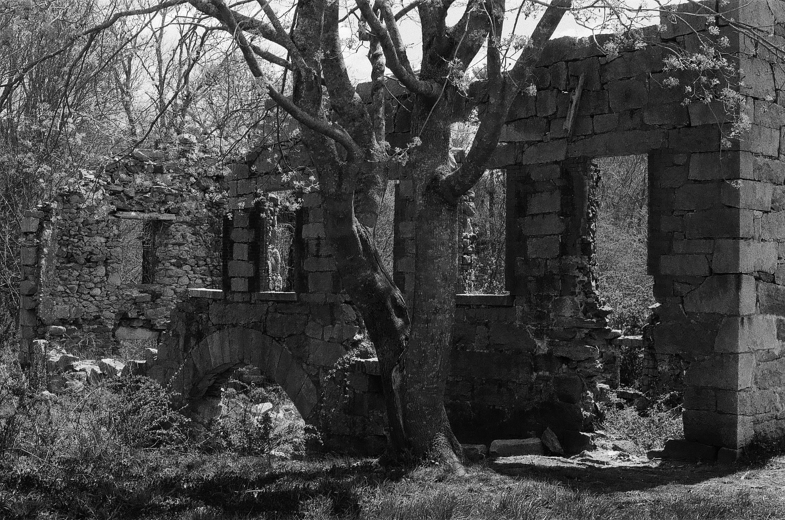 Ruined Series: 35 mm B&W film 2022