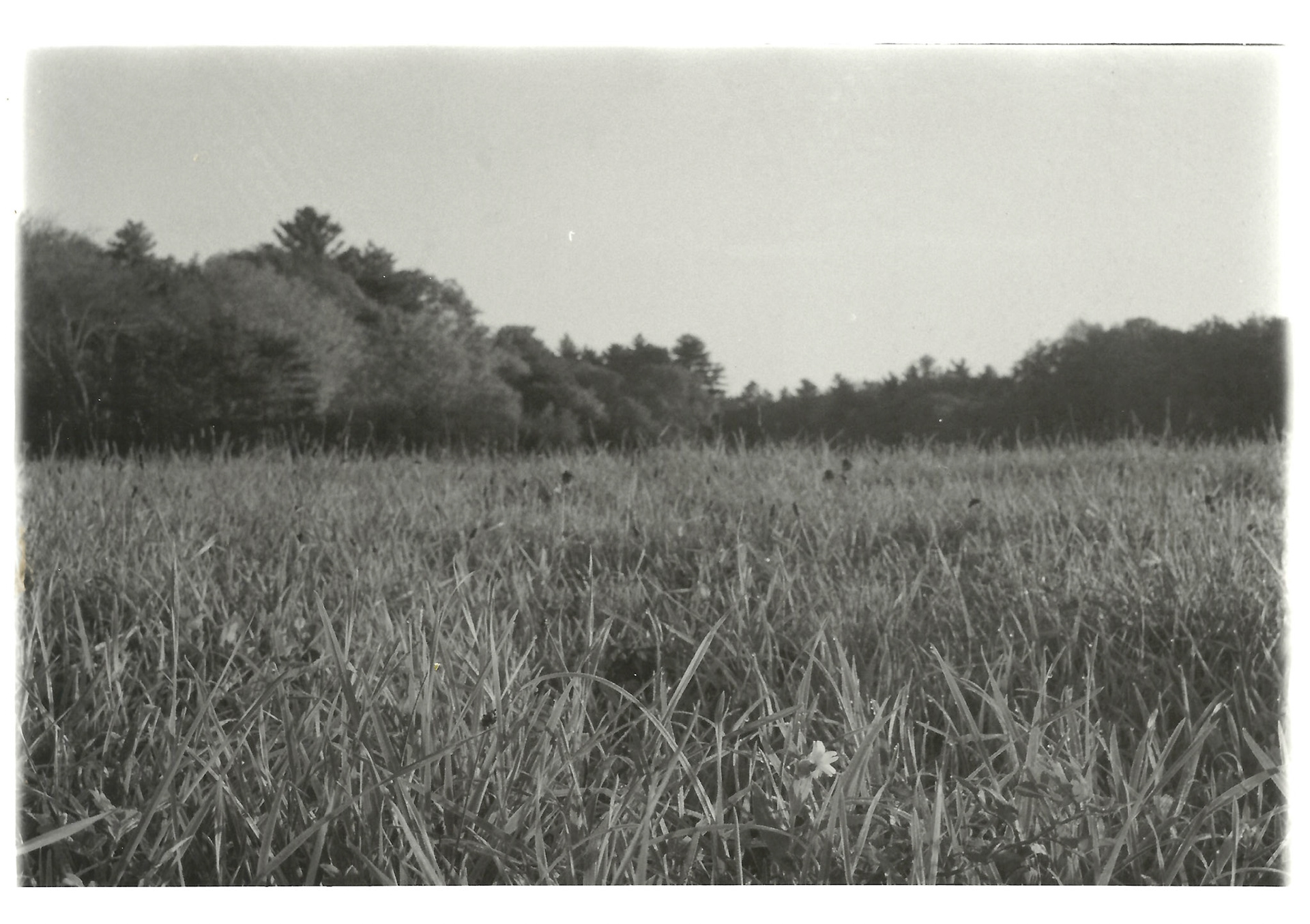 Remnants Series: 35 mm B&W film 2018