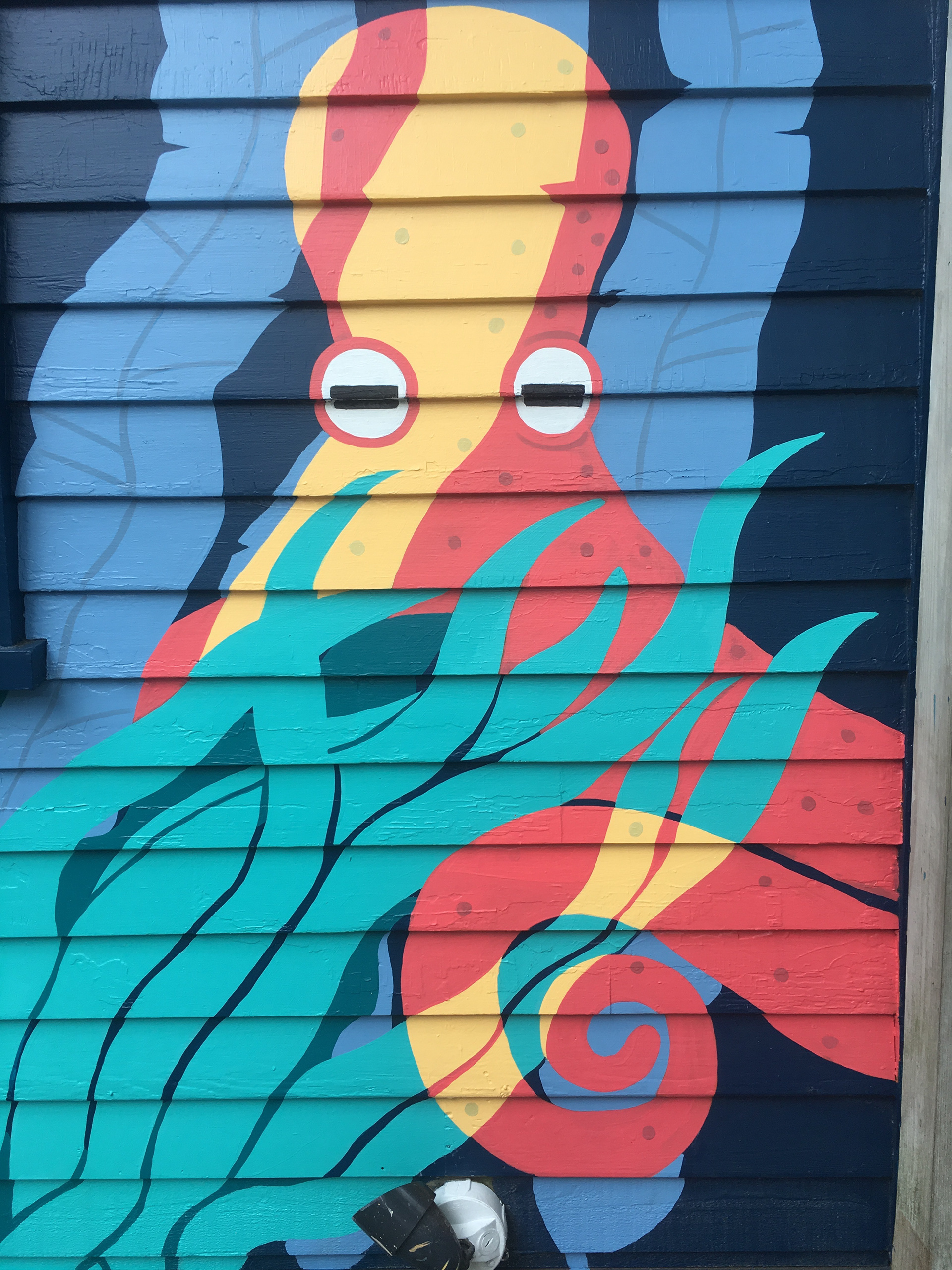 Octoshed 2020- Providence, RI