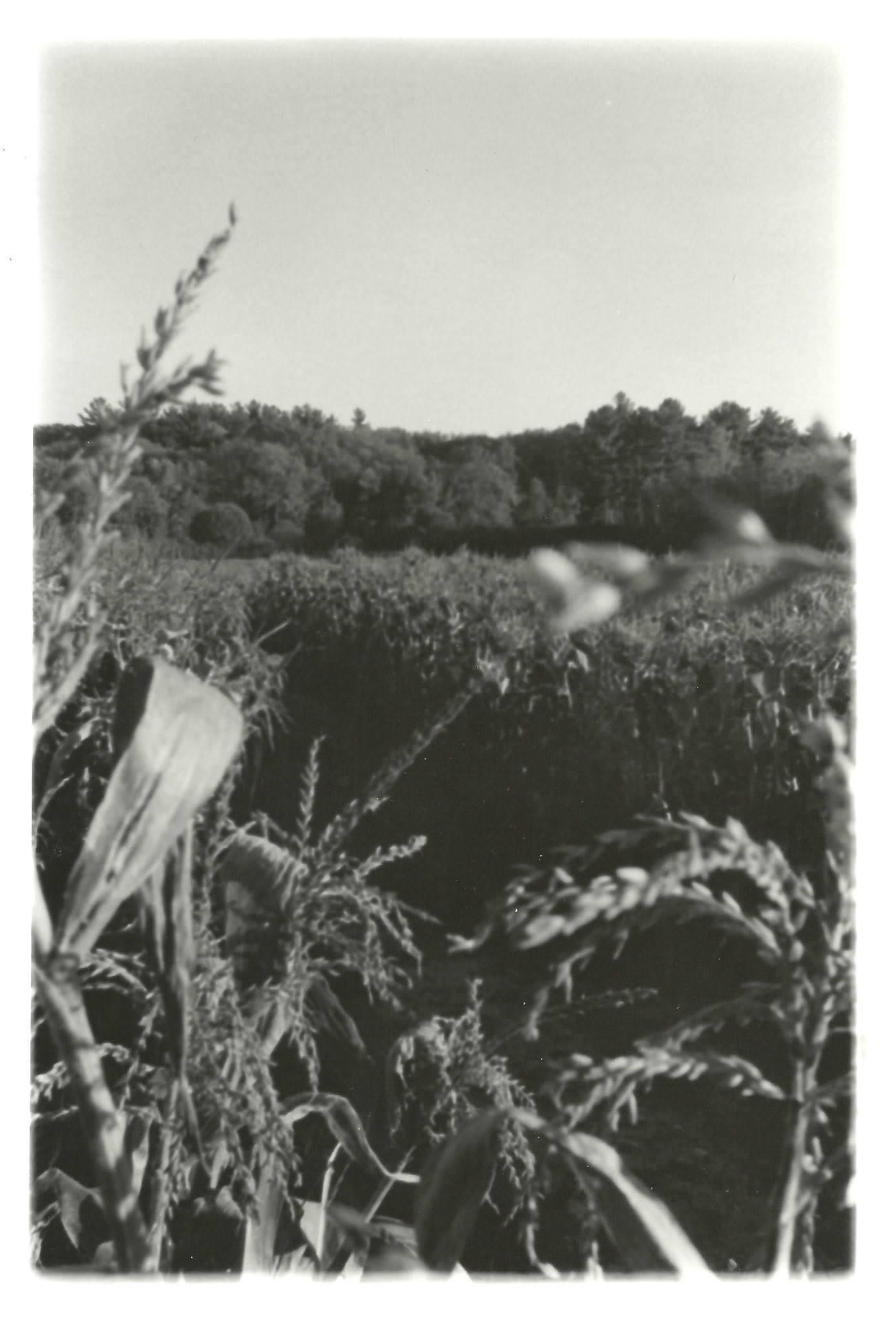 Remnants Series: 35 mm B&W film 2018