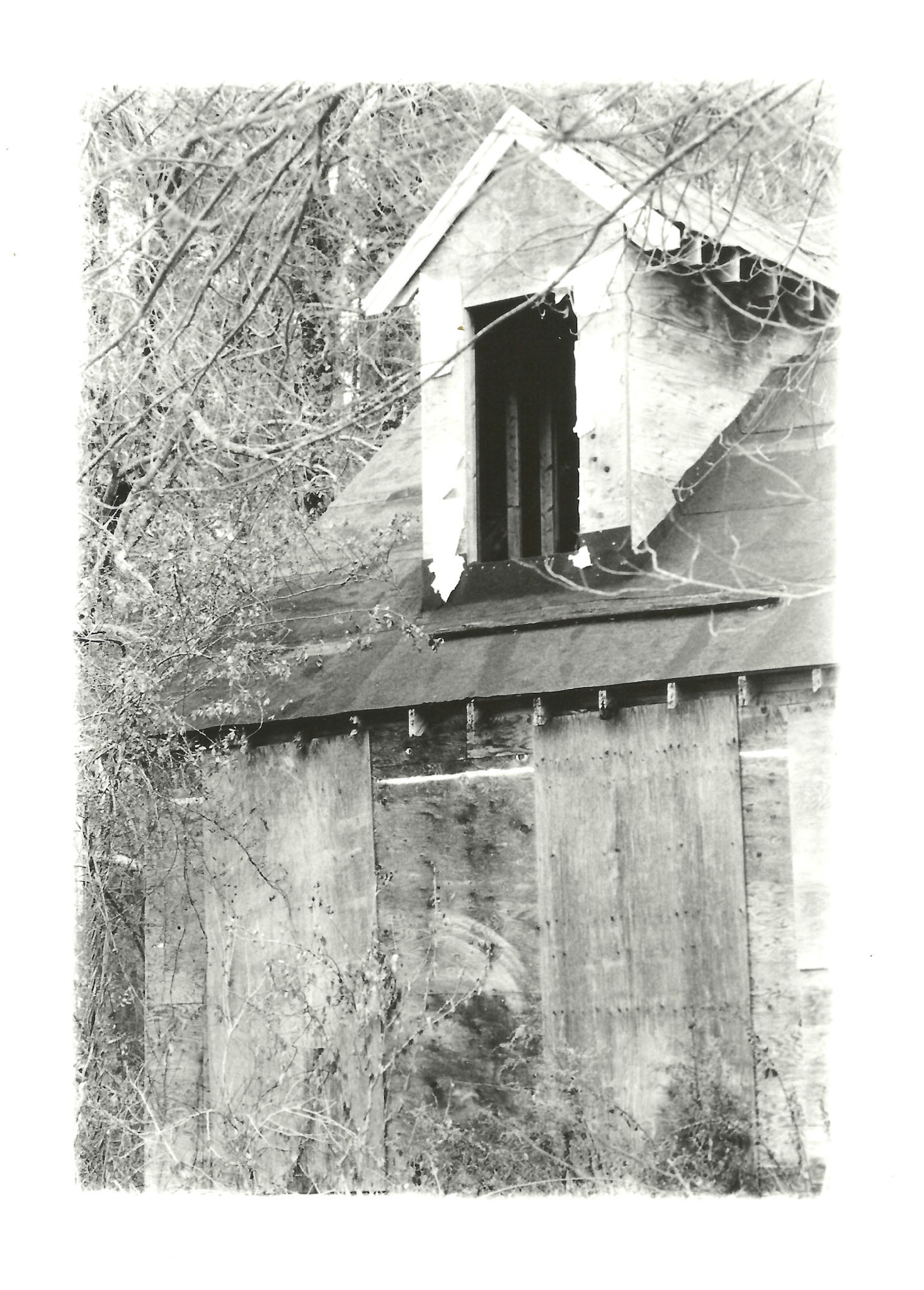 Remnants Series: 35 mm B&W film 2018