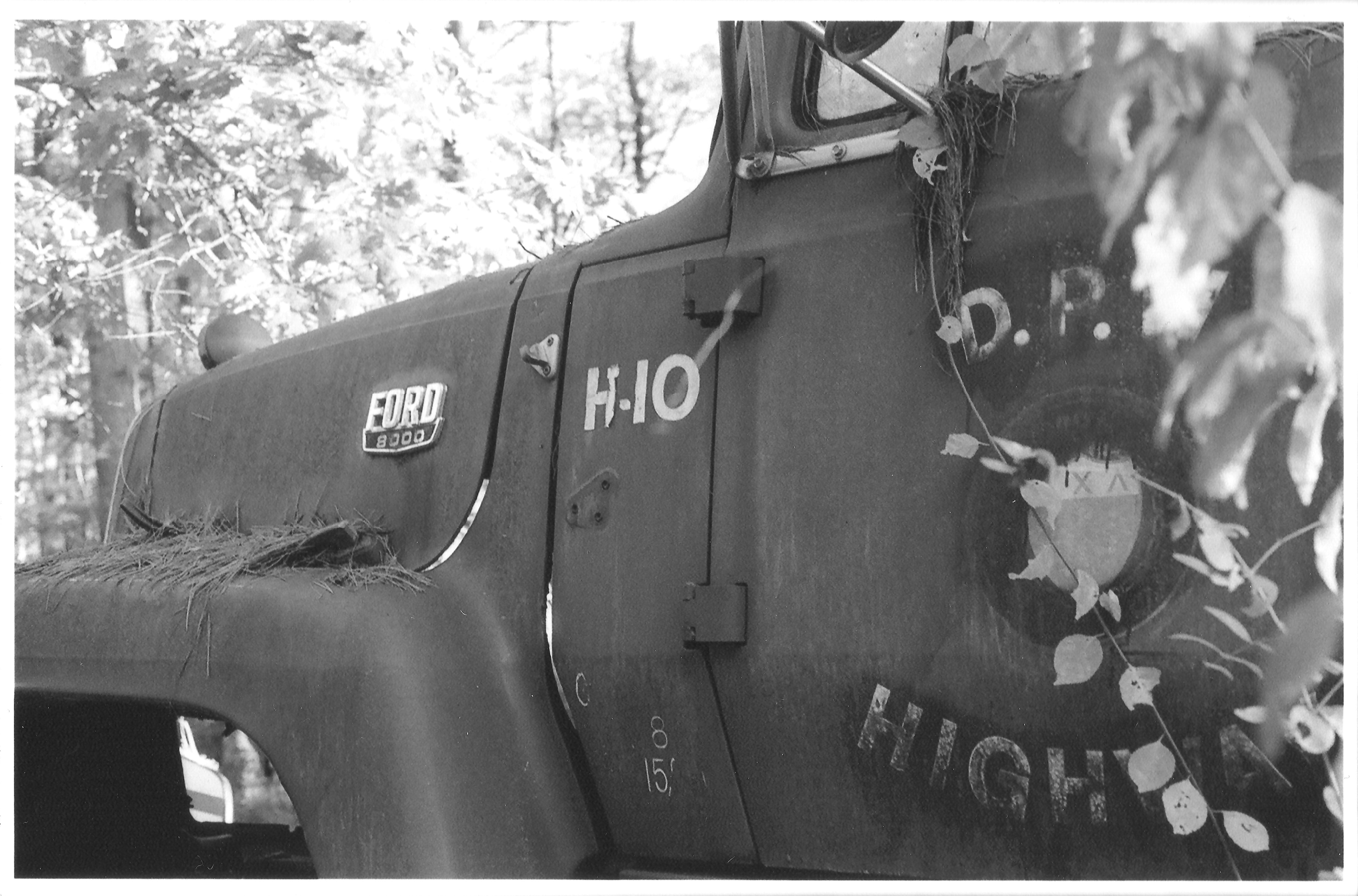 Remnants Series: 35 mm B&W film 2020