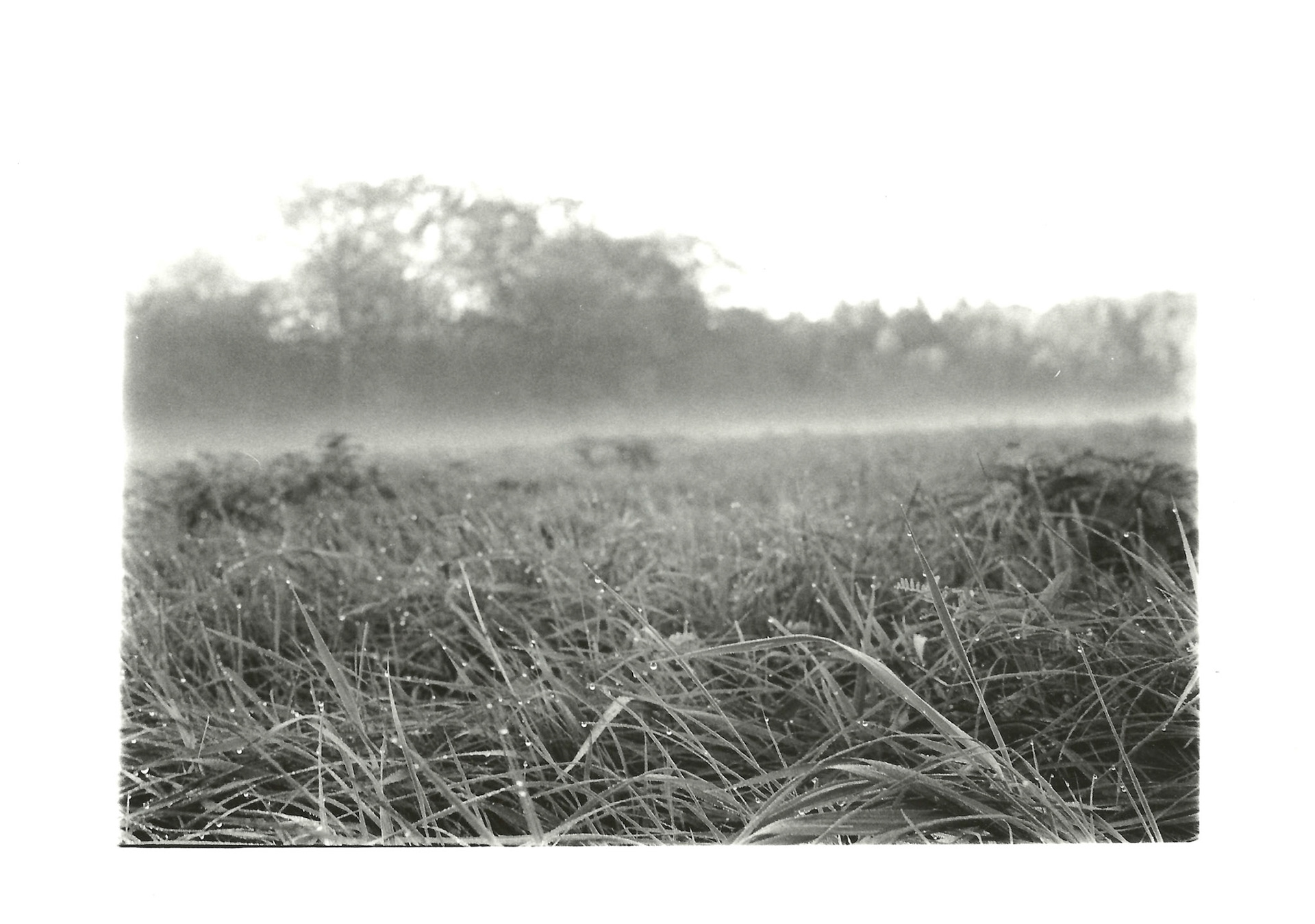 Remnants Series: 35 mm B&W film 2018