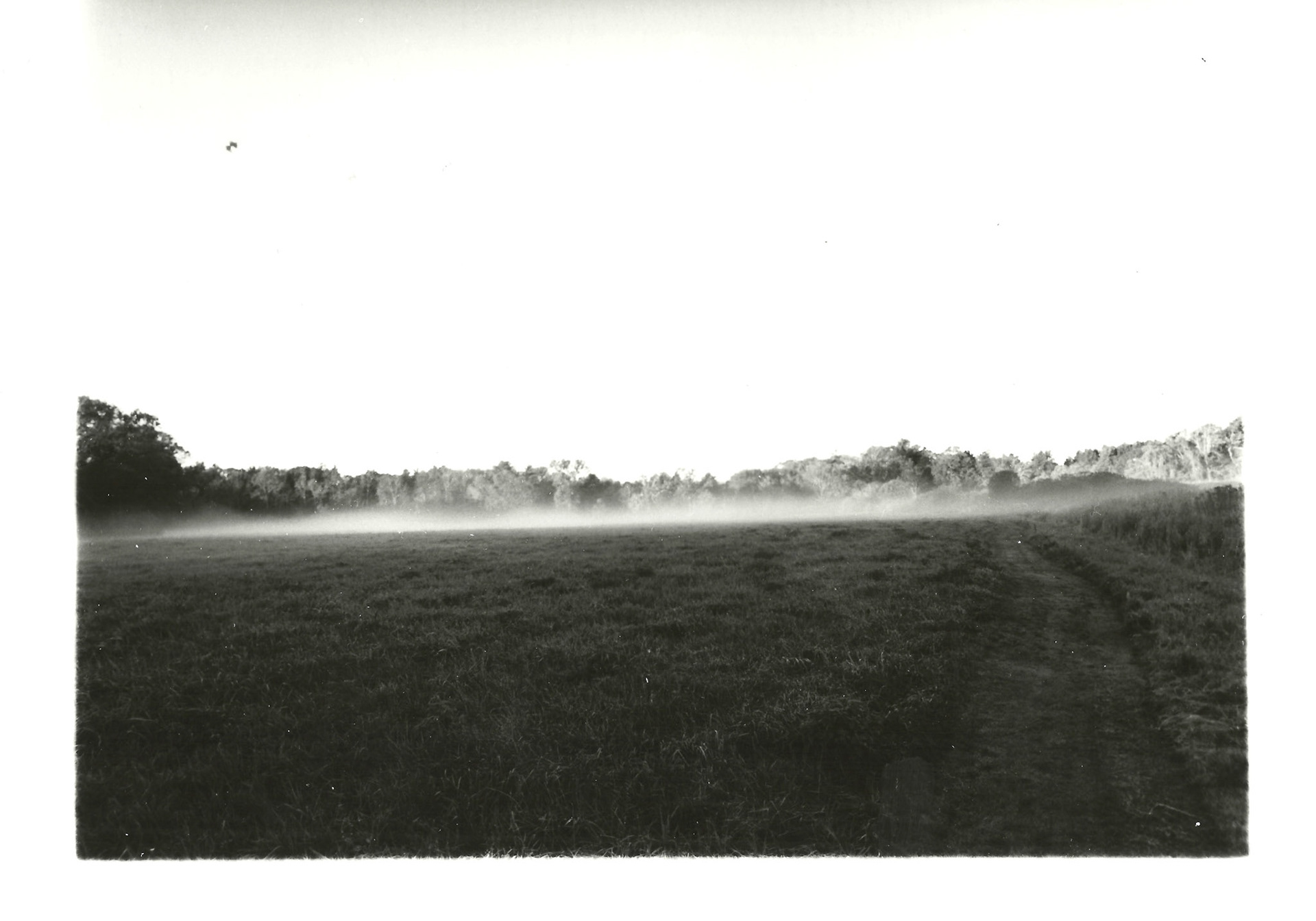 Remnants Series: wide format B&W film 2018