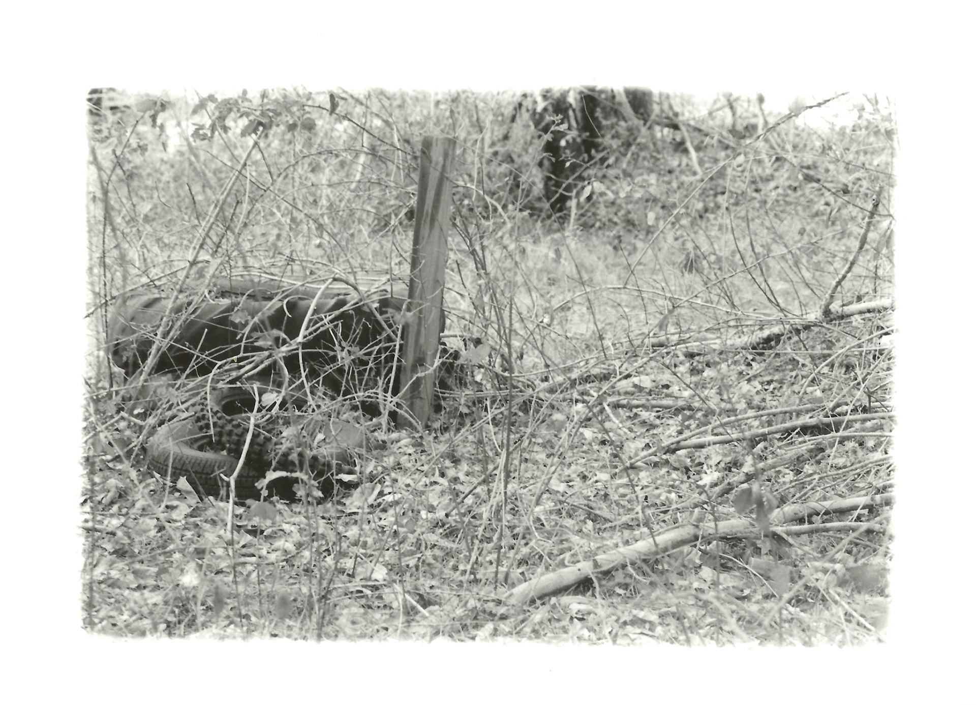 Remnants Series: 35 mm B&W film 2018