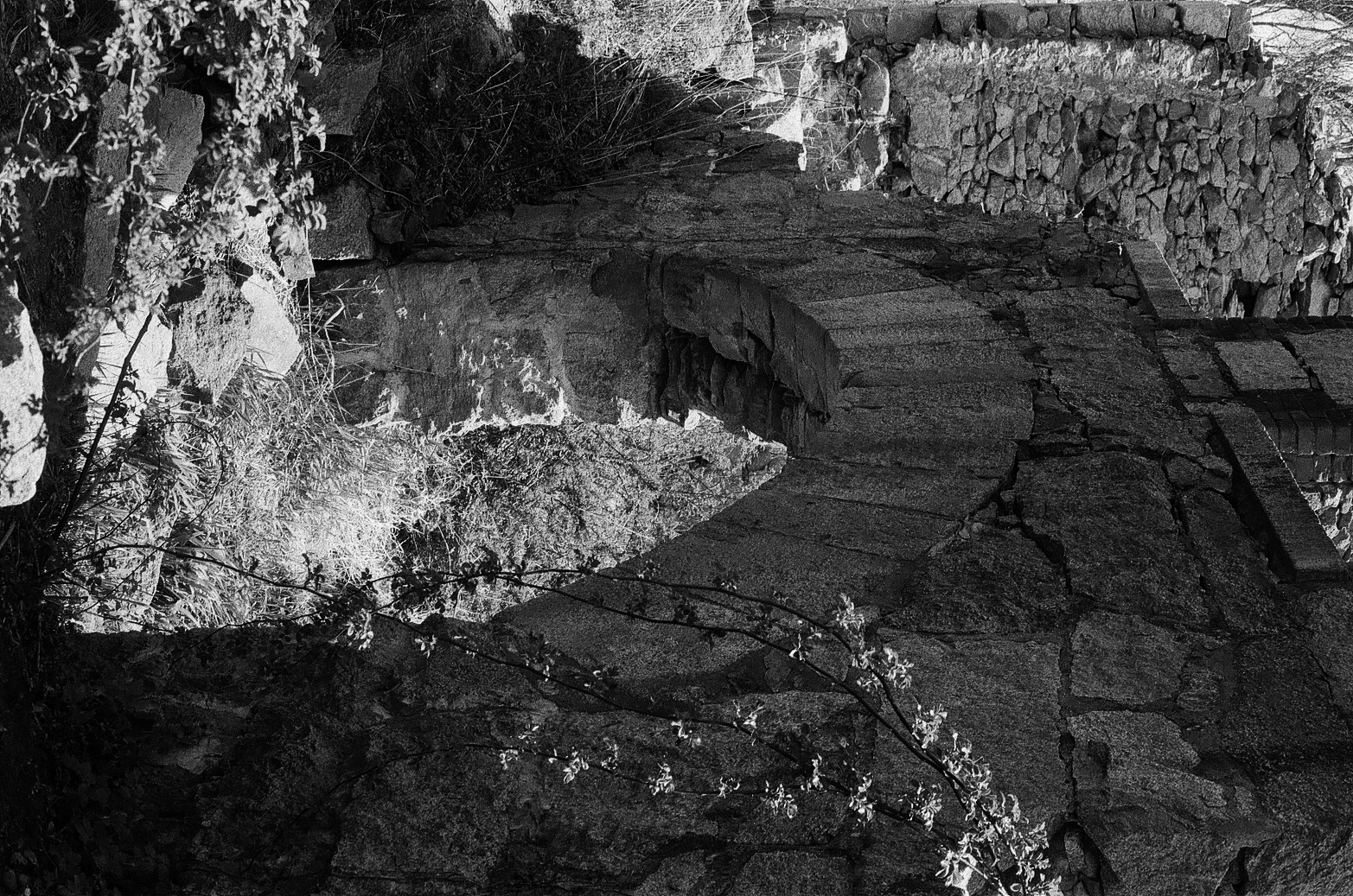 Ruined Series: 35 mm B&W film 2022