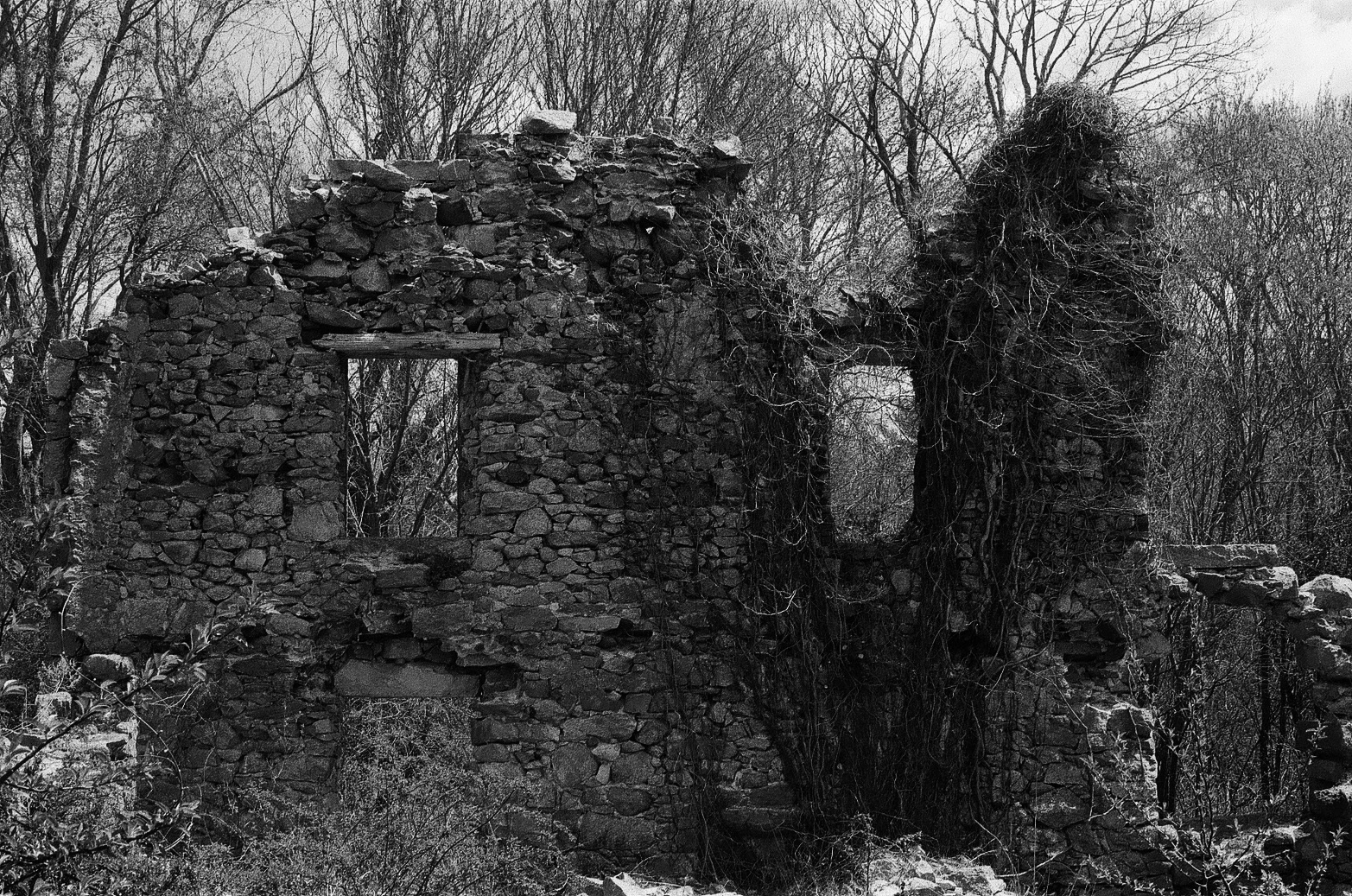 Ruined Series: 35 mm B&W film 2022