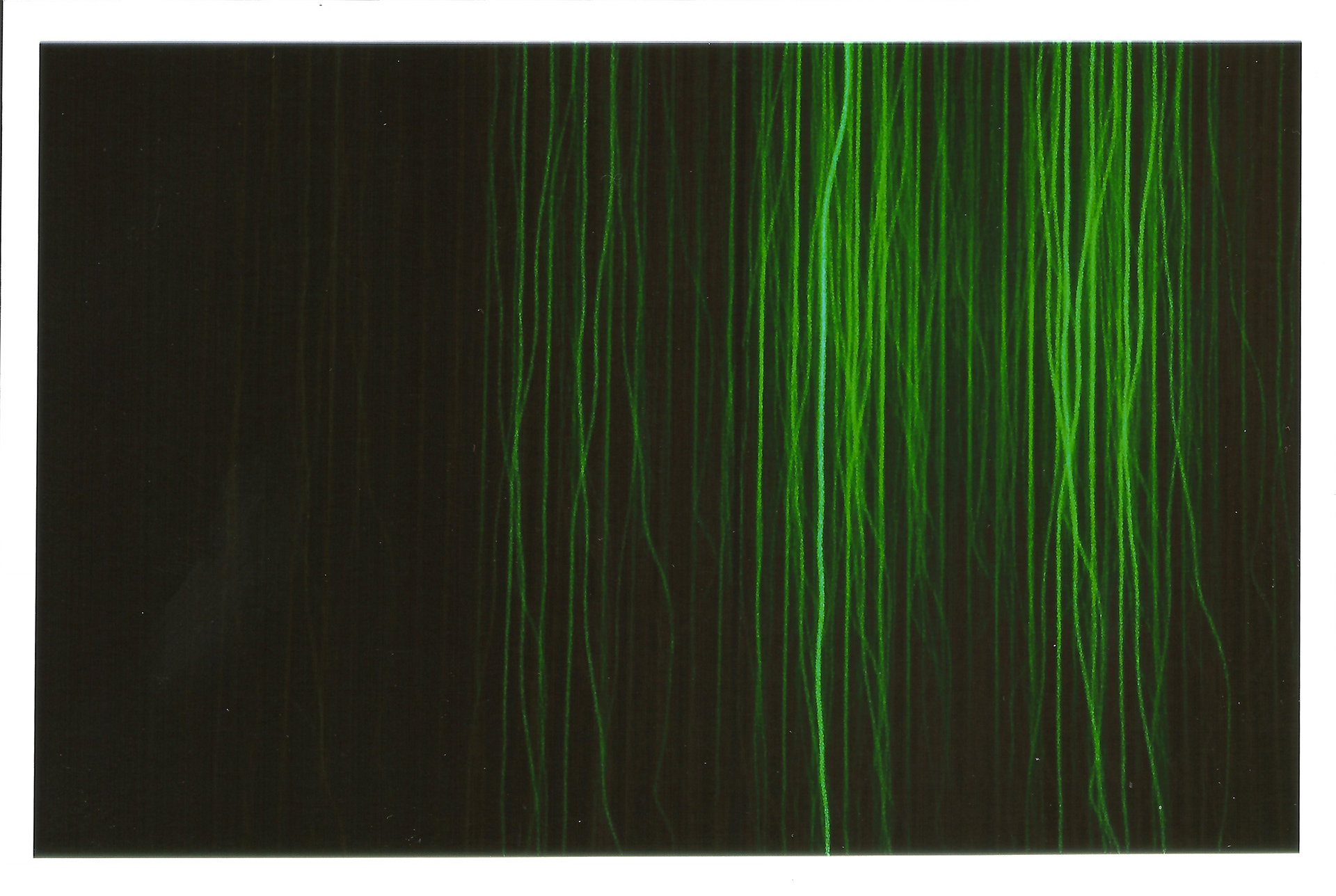 Light Painting Digital Series 2018