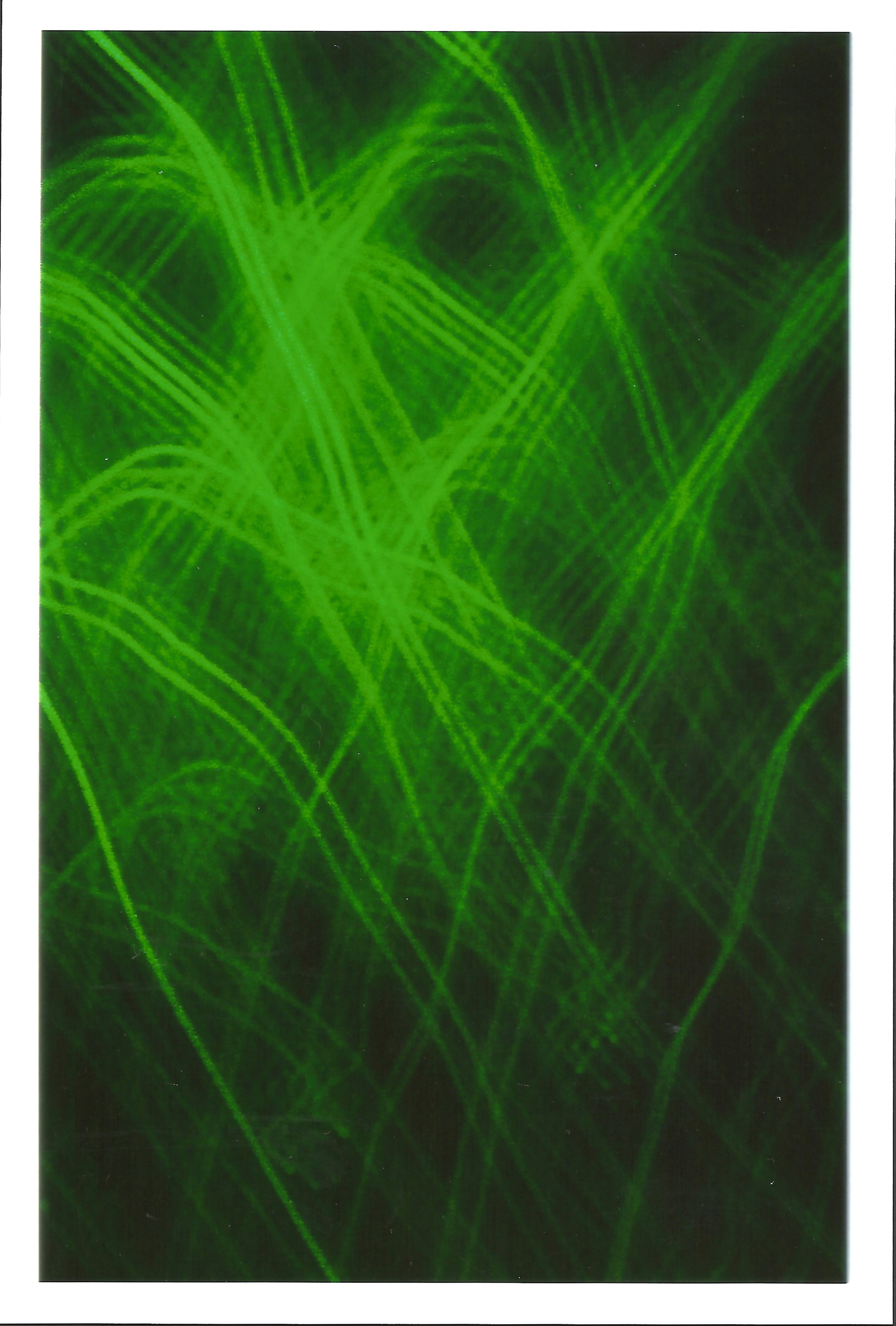 Light Painting Digital Series 2018