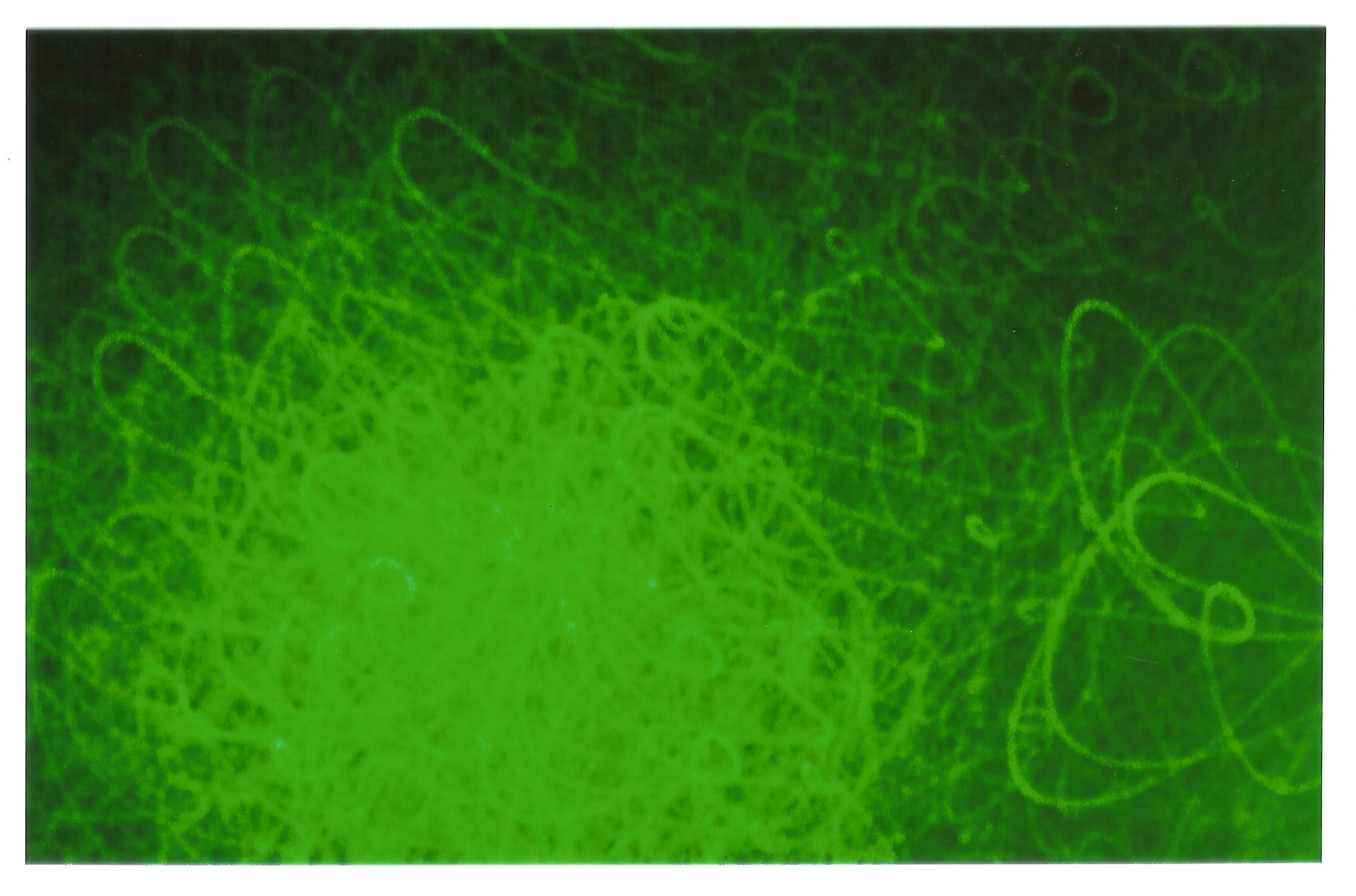 Light Painting Digital Series 2018