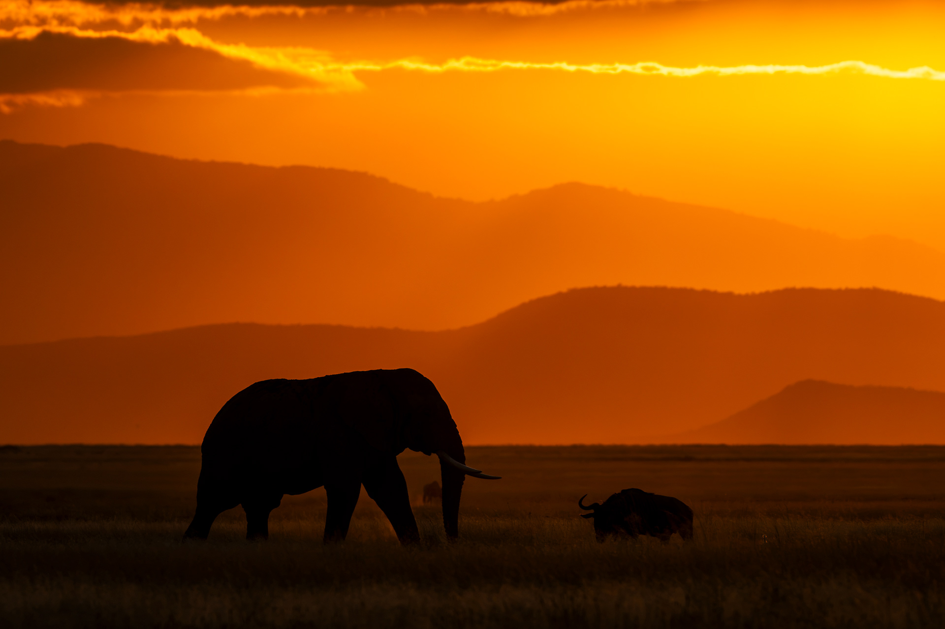 African Sunset