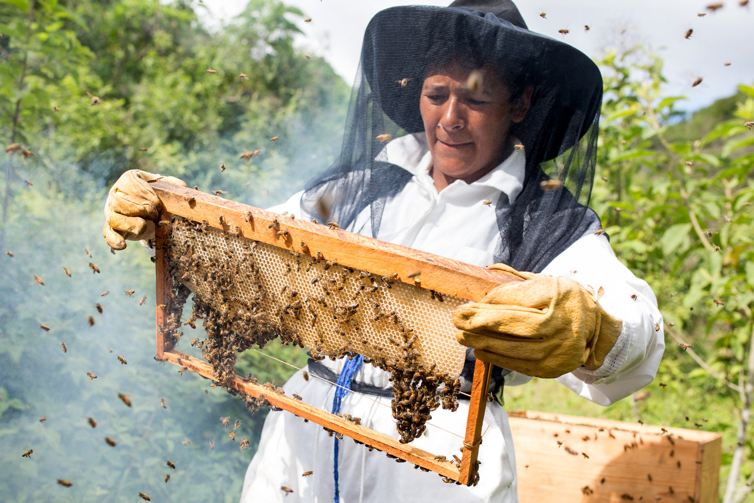 UN Woman Guatemala