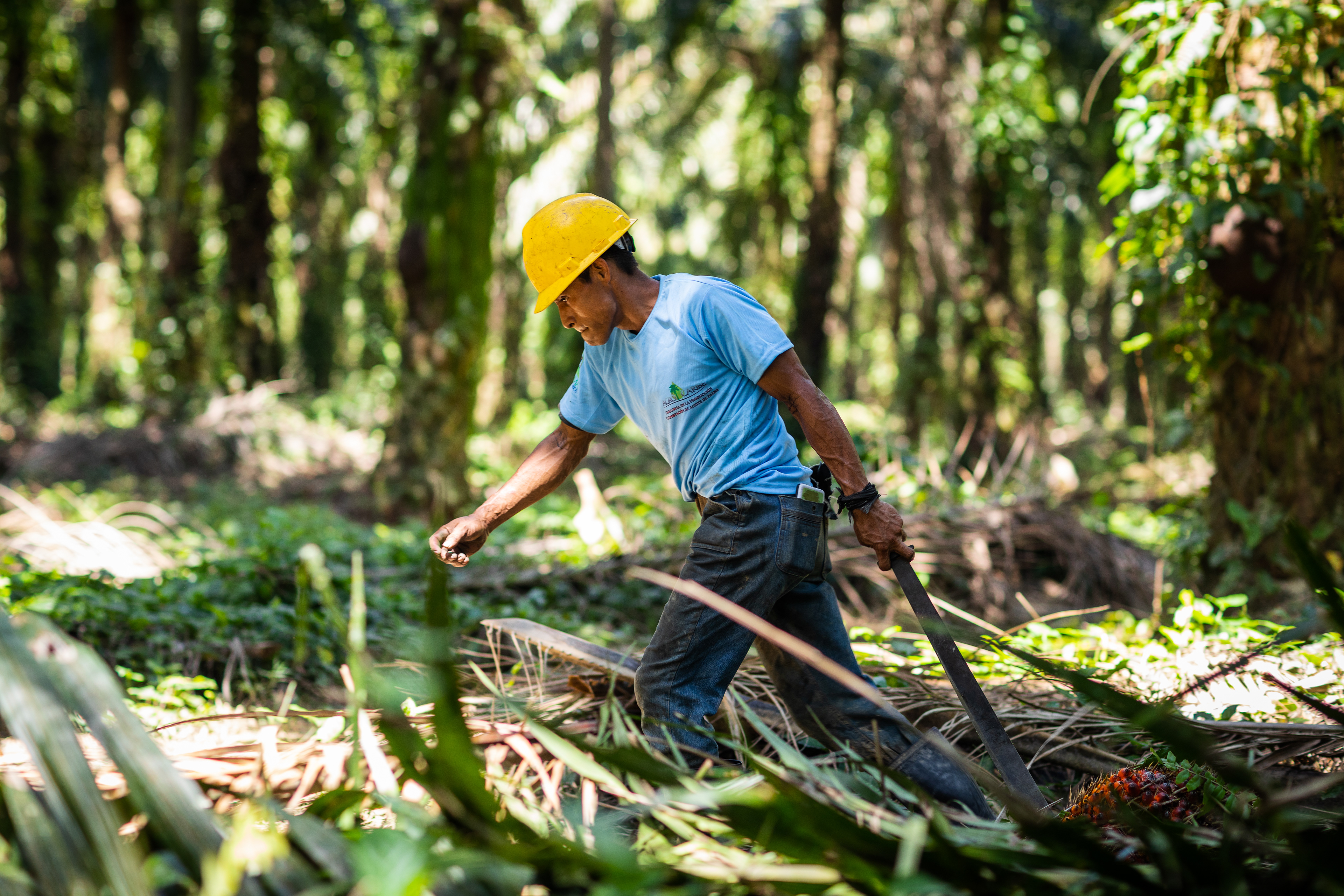 AgroAmerica Guatemala