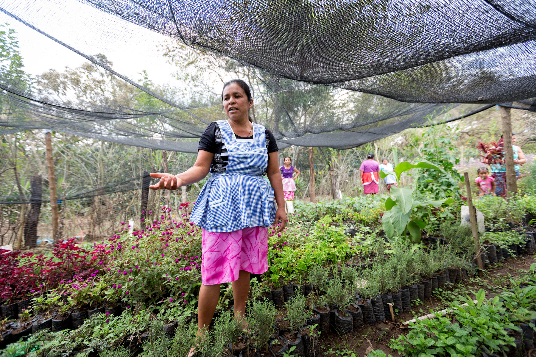 UN Woman Guatemala