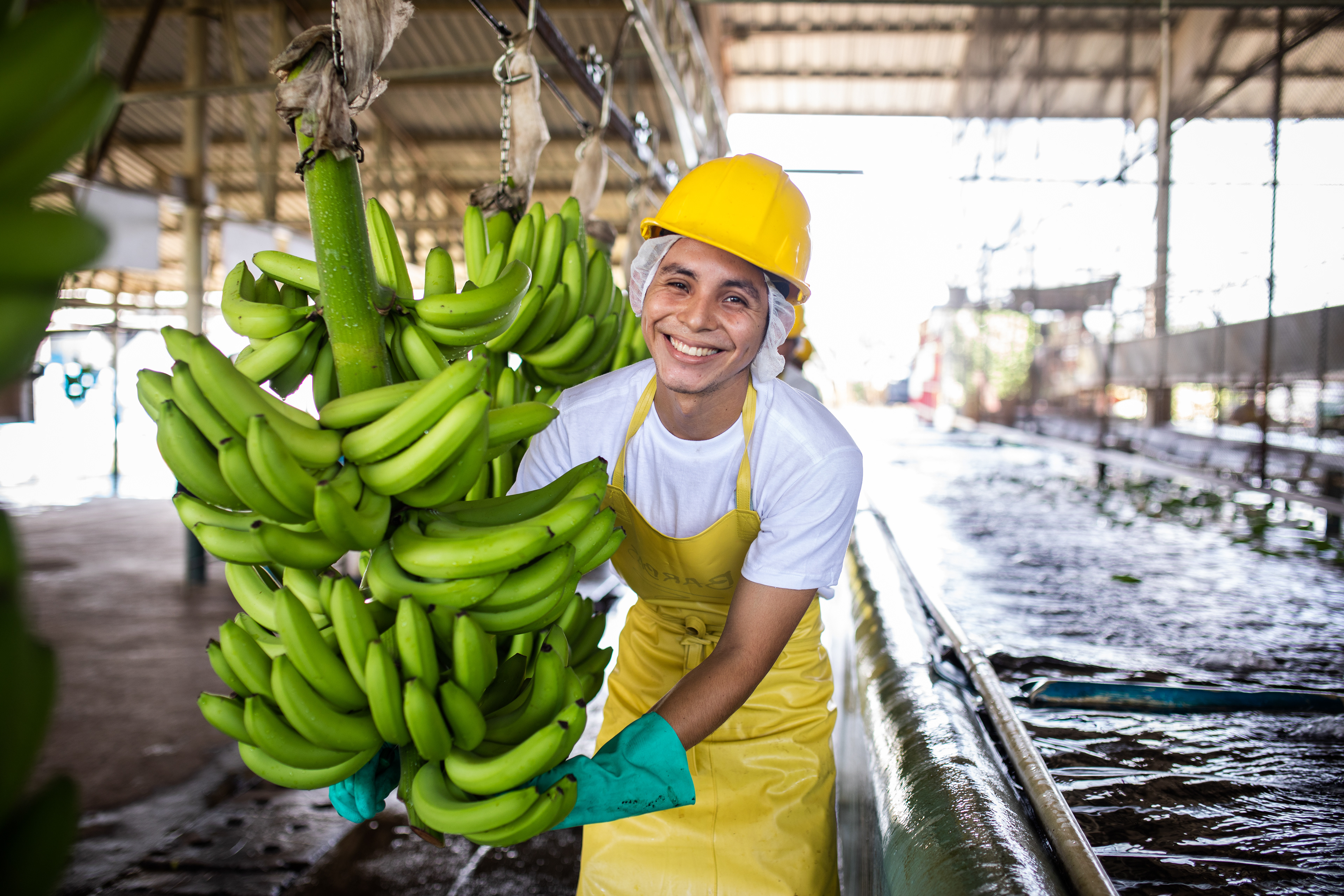 AgroAmerica Guatemala